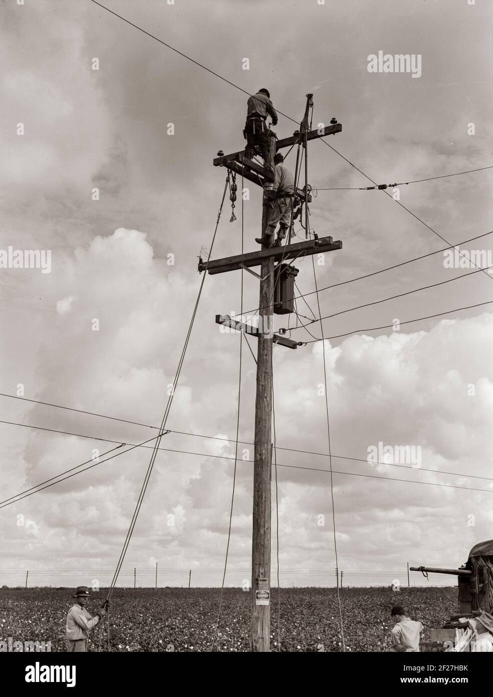 Installation von elektrischen Leitungen. Elektrifizierung des ländlichen Raums. San Joaquin Valley, Kalifornien. November 1938. Foto von Dorothea lange Stockfoto