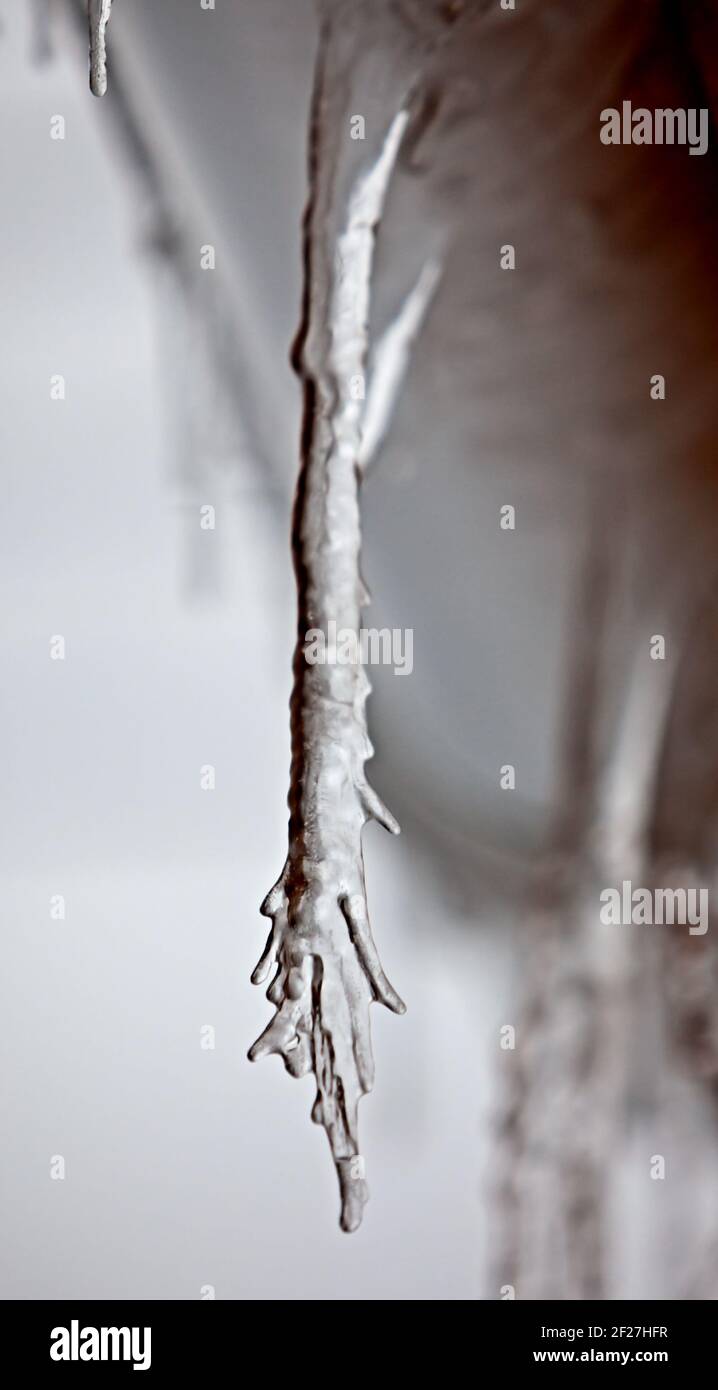 Auftauen von Eiszapfen Tropfen mit weißen Winterhimmel im Hintergrund Stockfoto