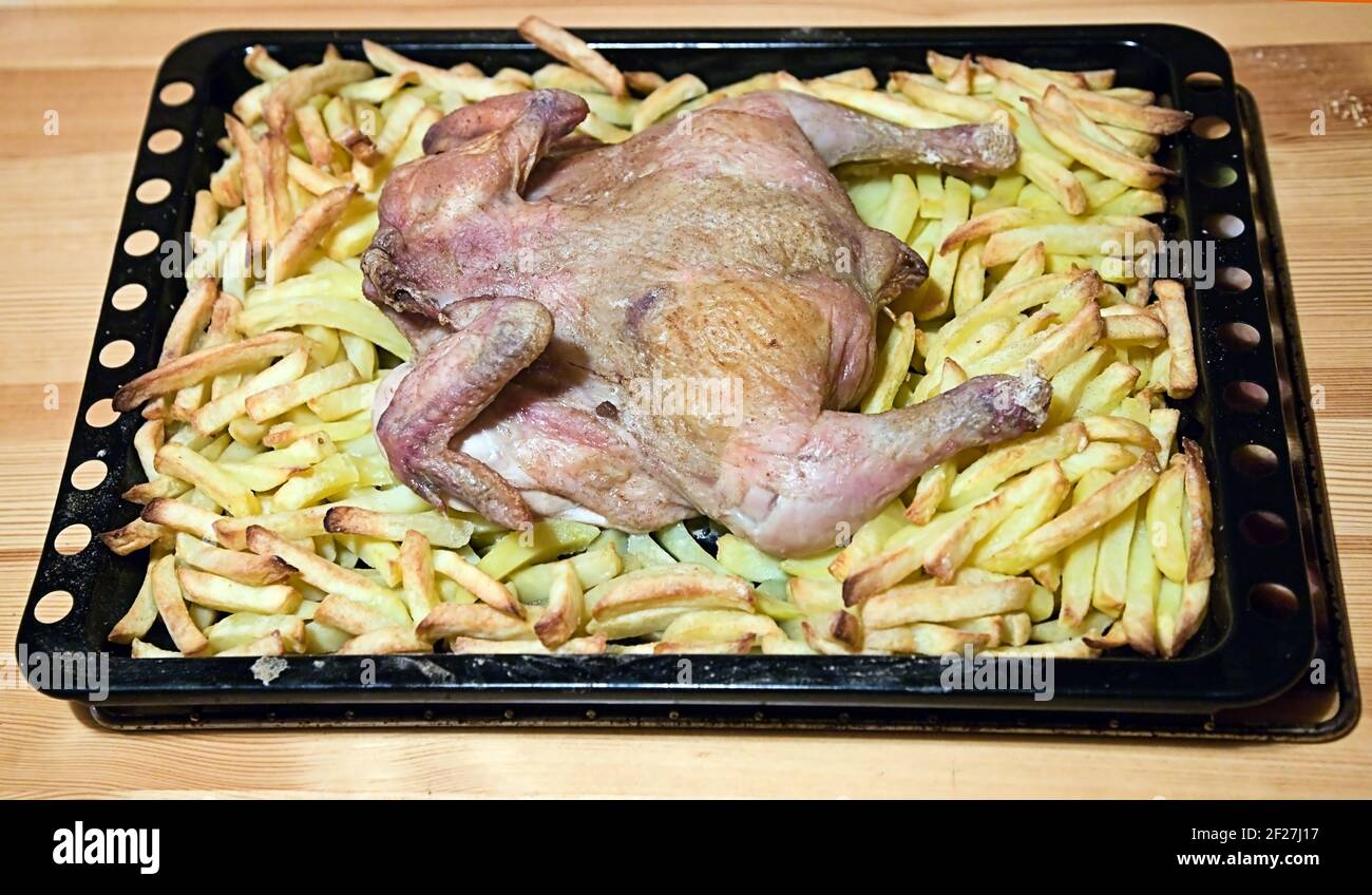 Die Henne, die mit der Kartoffel zubereitet wurde Stockfoto