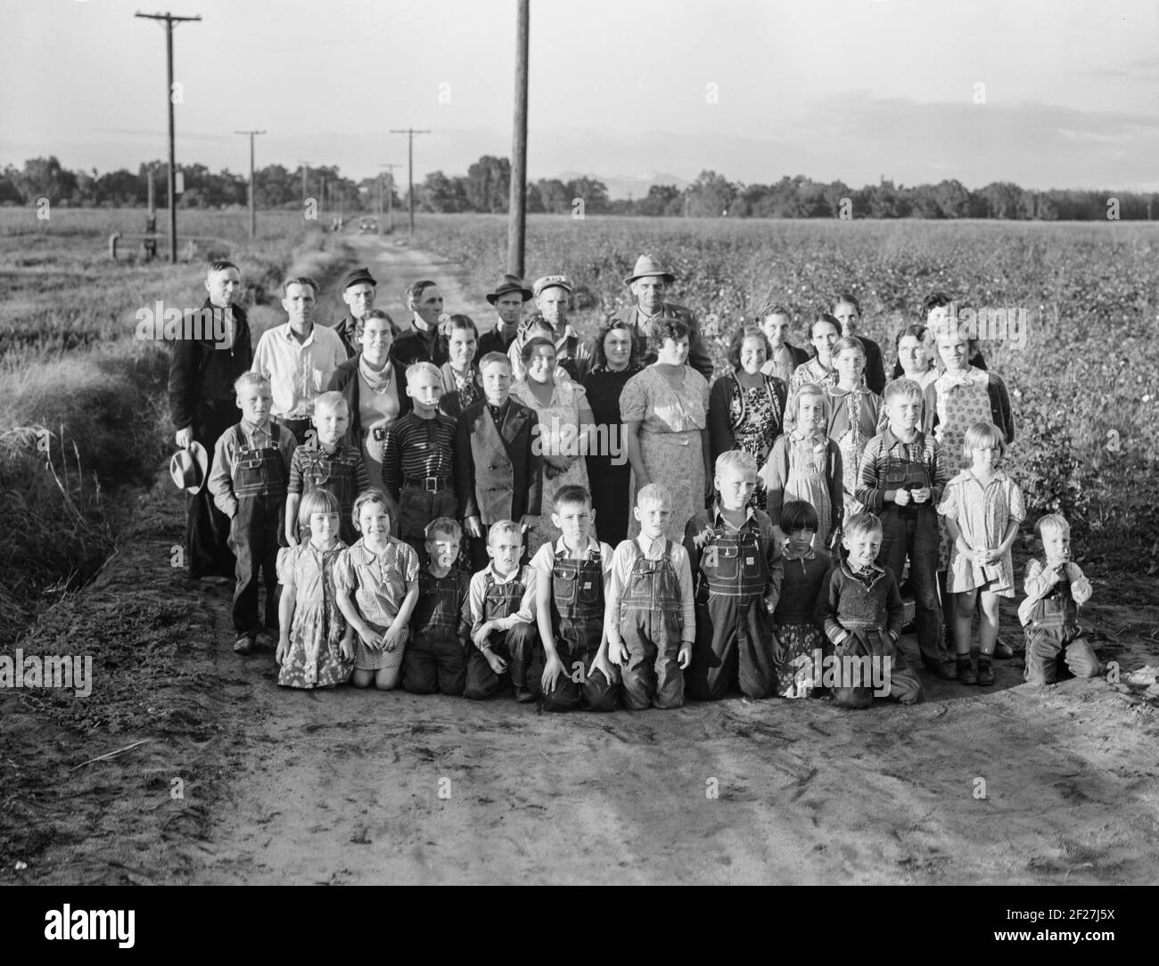 Visalia (Umgebung), Tulare County, Kalifornien. Die Farm Security Administration. Genossenschaftsfarm der Bergleute. Zehn Familien wurden auf der alten Ranch von 500 Hektar gegründet, die sie als Farmeinheit betreiben und Baumwollalfalfa und Milchprodukte für Cash-Crops anbauen. November 1938. Foto von Dorothea lange Stockfoto