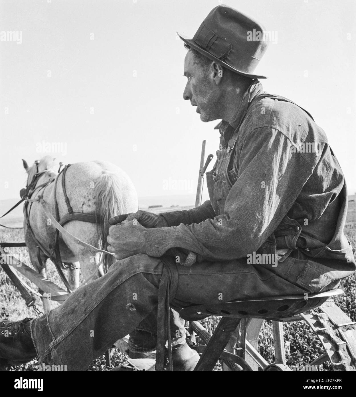Herr Roberts, FSA (Farm Security Administration) Kreditnehmer. Owyhee-Projekt. Malheur County, Oregon . Oktober 1939. Foto von Dorothea lange Stockfoto