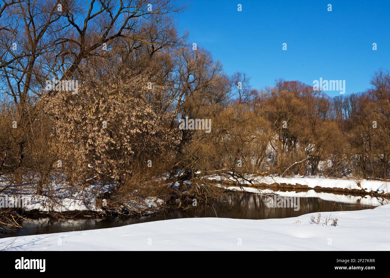 Bäume über dem Fluss nach einem Schneeregen Stockfoto