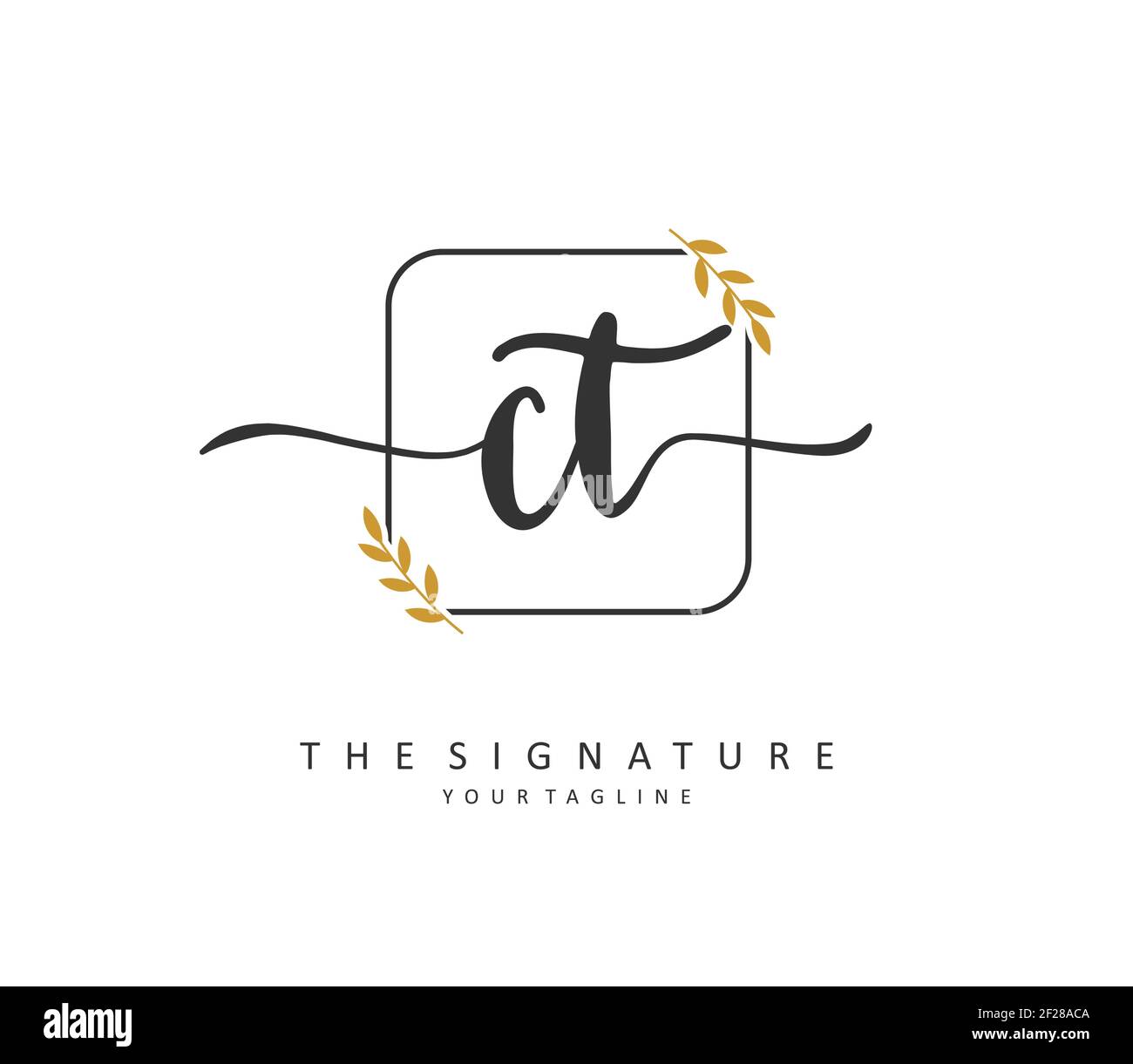 C T CT Anfangsbuchstabenhandschrift und Signaturlogo. Ein Konzept handschriftlich Initiallogo mit Template-Element. Stock Vektor