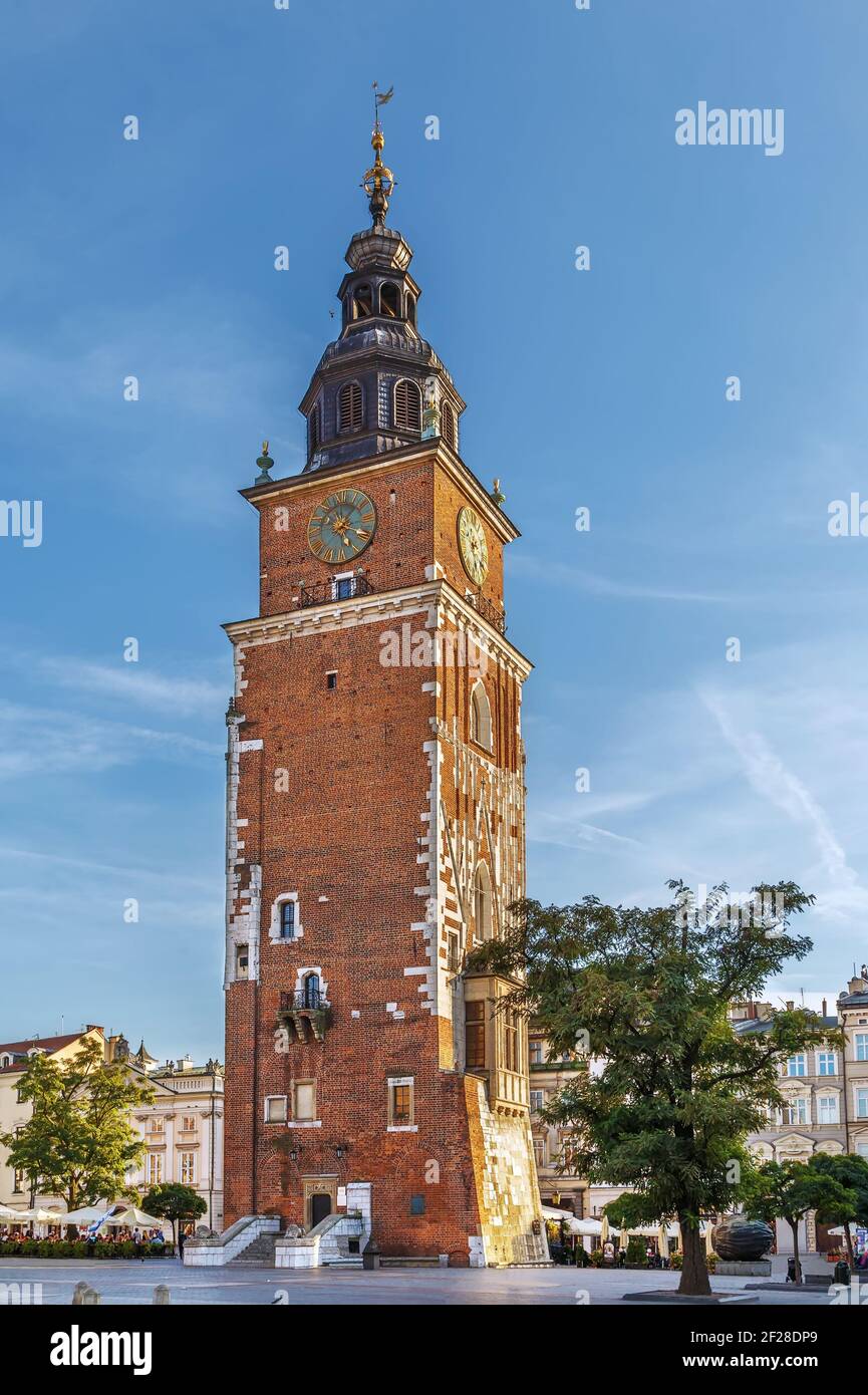 Rathausturm, Krakau, Polen Stockfoto