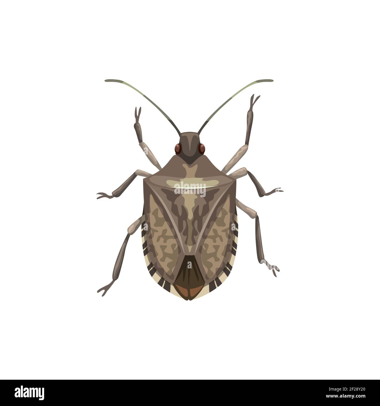 Schild Bug Symbol, Schädlingsbekämpfung Insekten Ausrottung und Dissektion Service, Vektor. Landwirtschaft und Garten Insektendesinfektion, Schild Bug Pestizid Stock Vektor