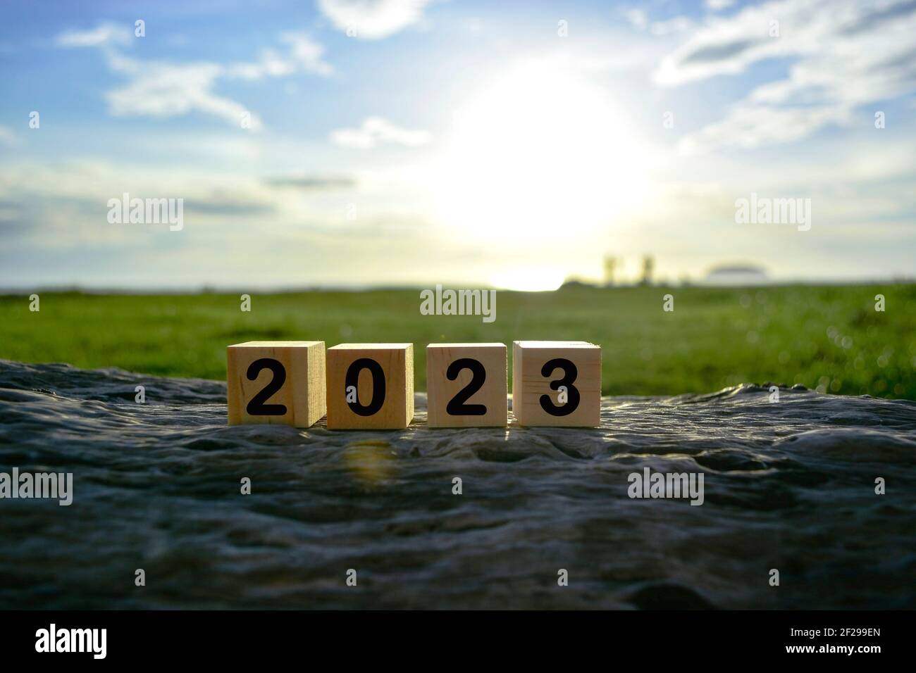 2023 Zahl auf Holzwürfelblock auf altem Baumstumpf mit verschwommenem Hintergrund Stockfoto