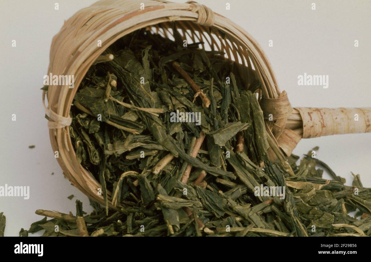 Bambus-Teesieb, grner Tee, getrocknete Bltter der Teepflanze, Camellia  sinensis, ungegoren, Darjeeling, gemischter Tee aus verschiedenen  getrockneten Blttern und Blten Stockfotografie - Alamy