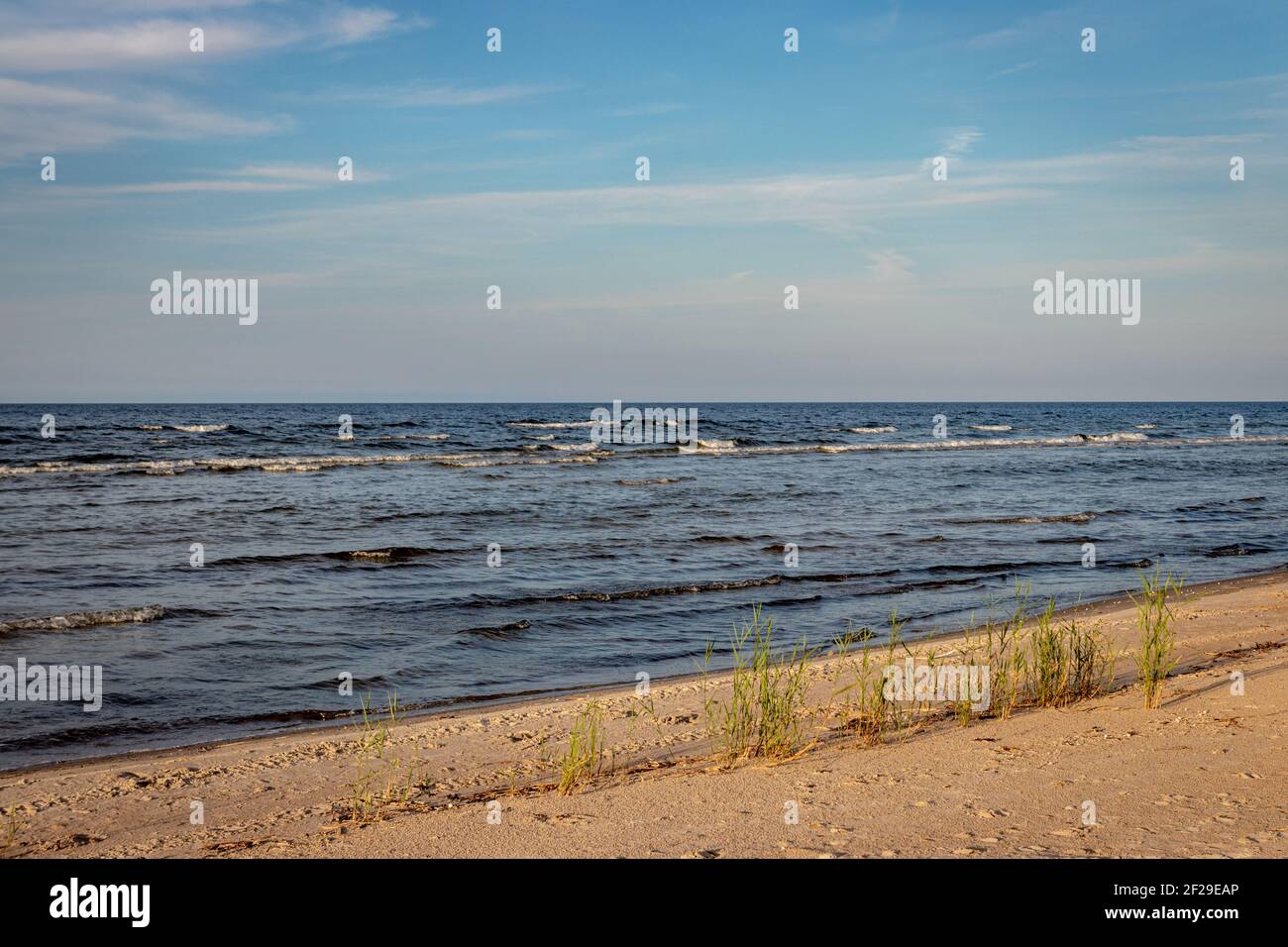 Sandstrand in Lettland an der Ostsee, Gras am Sandstrand Stockfoto