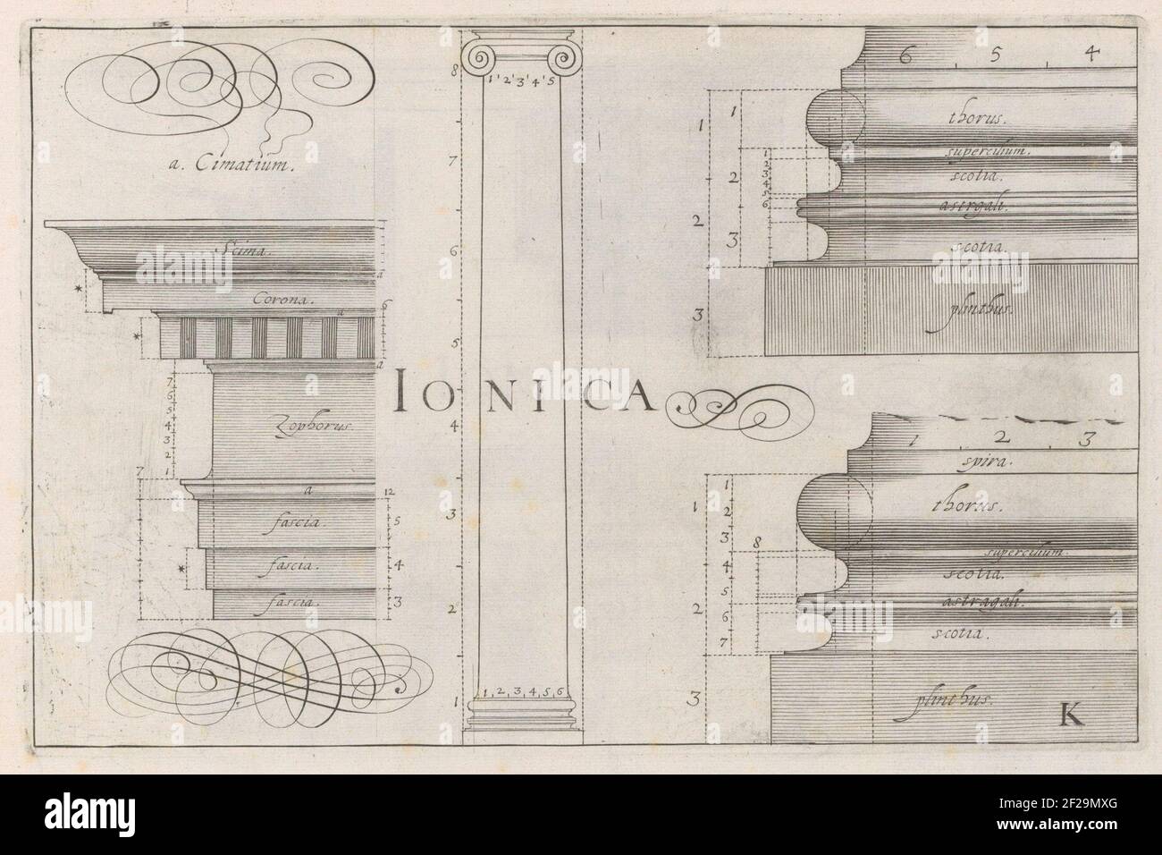 Ionische zuil, hoofdgestel en basementen; Ionica; Architectura.Ionische Säule, Kopfgestell und zwei Keller. Unten rechts: K. Prent ist Teil eines Albums. Stockfoto