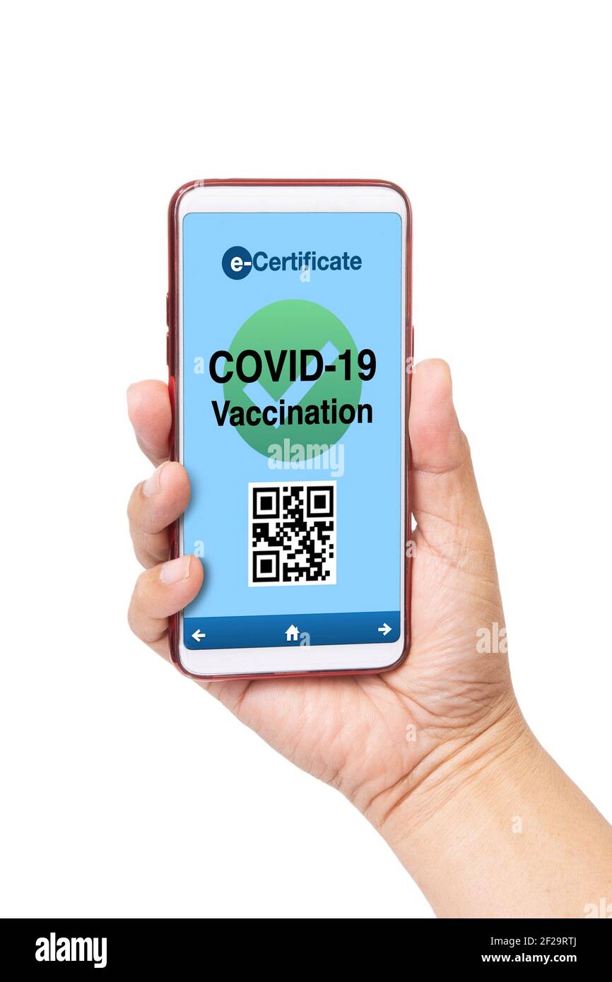 Hand halten Smartphone gezeigt covid-19 Impfzertifizierung auf weißem Hintergrund. Stockfoto