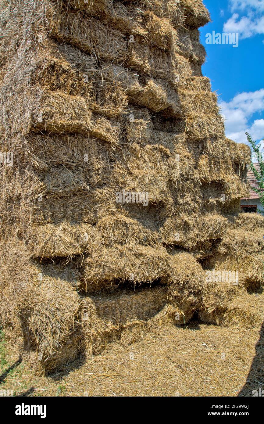 Ein großer Dorfhof und eine große Heukammer, die dazu dient, die Kühe und Schafe auf dem Hof zu füttern. Stockfoto