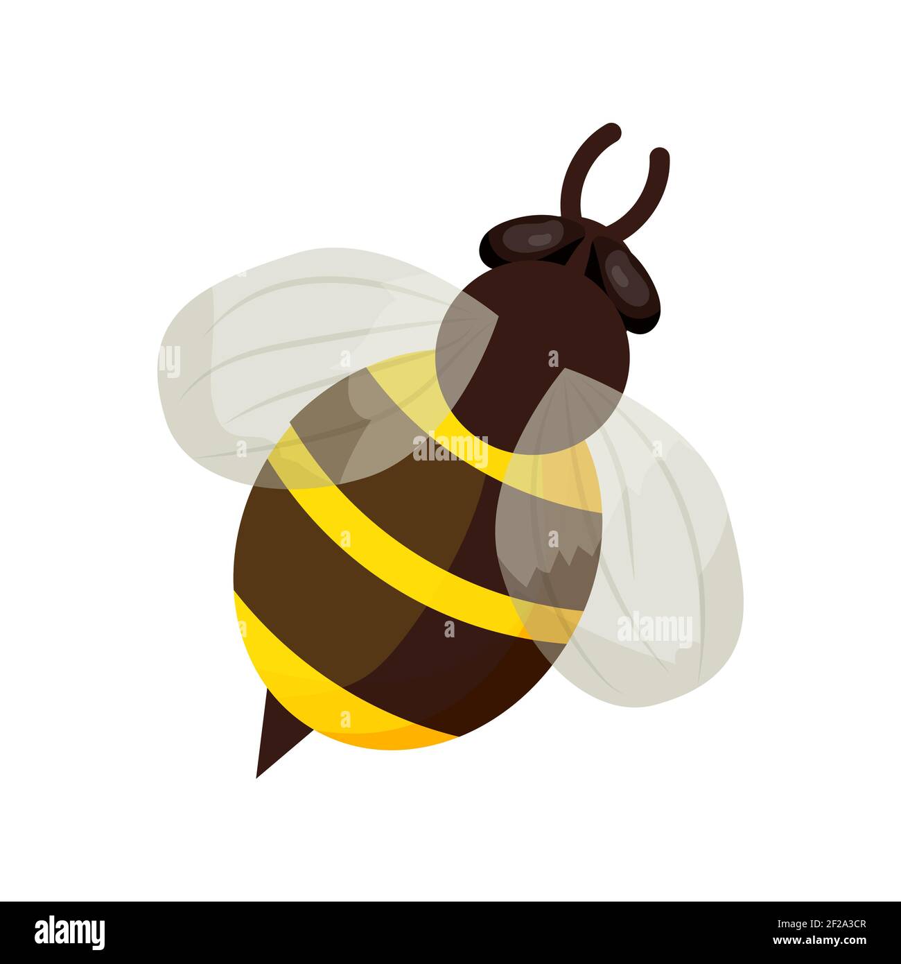 Honey Biene im Cartoon-Stil isoliert auf weißem Hintergrund. Detailreiches Insekt, Stöpel, Käfer mit Streifen. Niedliche Cliparts, Dekoration oder Design-Element. Vektor Stock Vektor