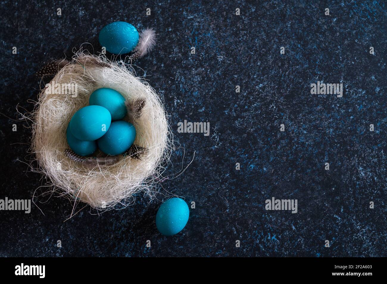 Mystisch färbende Ostereier mit Zweigen in einem dekorativen Nest auf blauem Hintergrund. Hintergrund mit Kopierbereich. Selektiver Fokus Stockfoto