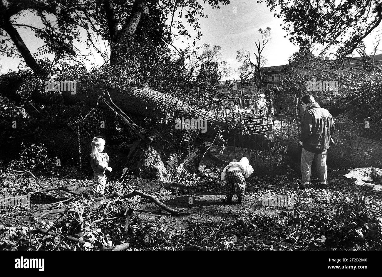 Wetter stürmt EINE Mutter und ihre beiden Kinder in Brighton Schauen Sie sich die Schäden verursachen einen Baum, der während gefallen Der große Sturm von 1987 zermalmt ein Metalltor und Einzäunung Stockfoto