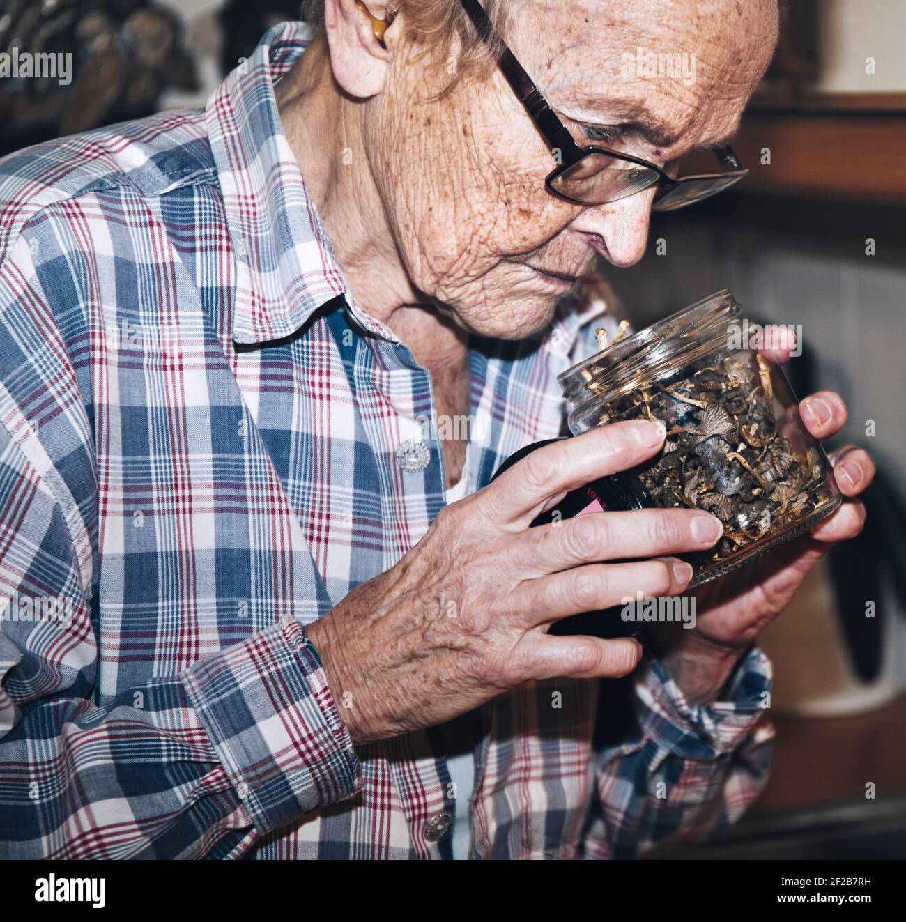 Ältere ältere schwedische Frau mit einem Glas handgepflückten getrockneten Pilzen. Konzept des Lebensstils, Essen, Senioren Stockfoto