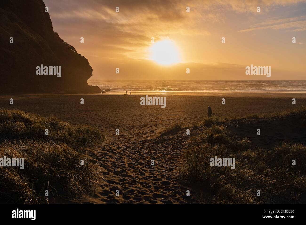 Piha Beach, Neuseeland Stockfoto