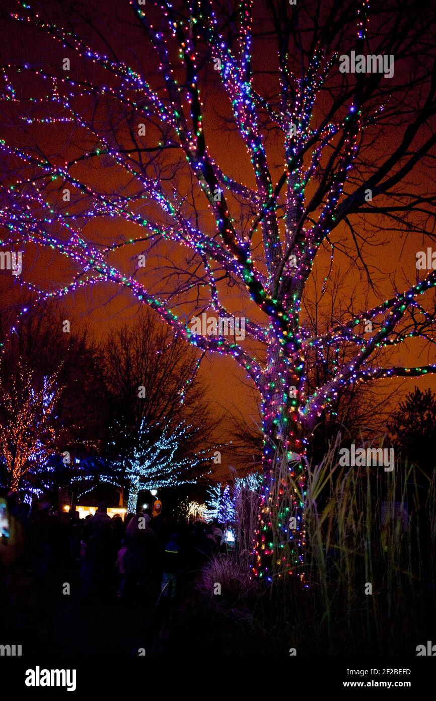 Zoo Lights Night im Smithsonian National Zoological Park im Dezember jedes Jahres, um die Saison zu feiern. Stockfoto