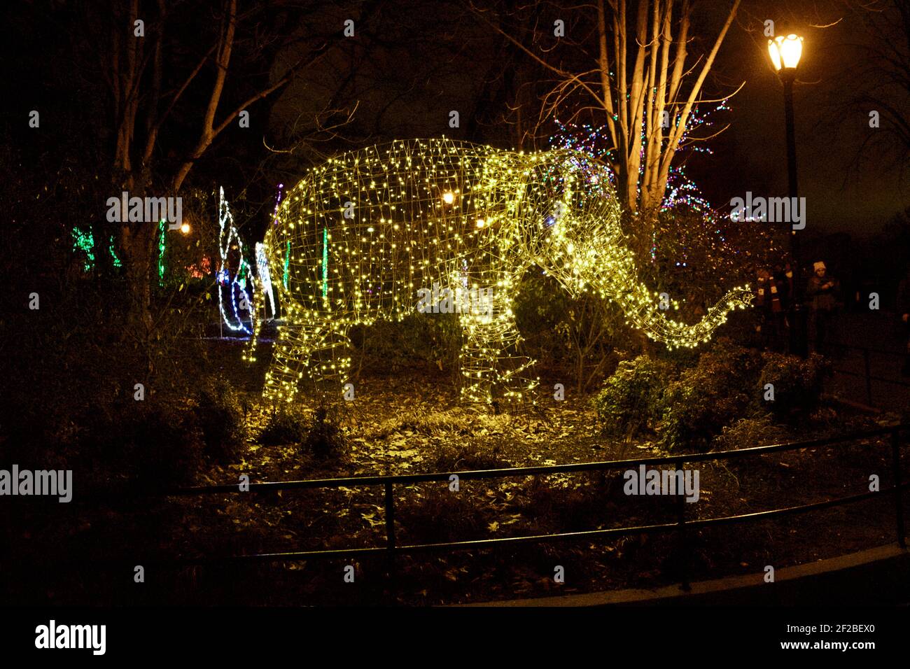 Zoo Lights Night im Smithsonian National Zoological Park im Dezember jedes Jahres, um die Saison zu feiern. Stockfoto