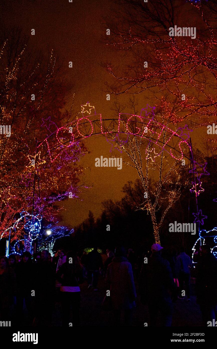 Zoo Lights Night im Smithsonian National Zoological Park im Dezember jedes Jahres, um die Saison zu feiern. Stockfoto