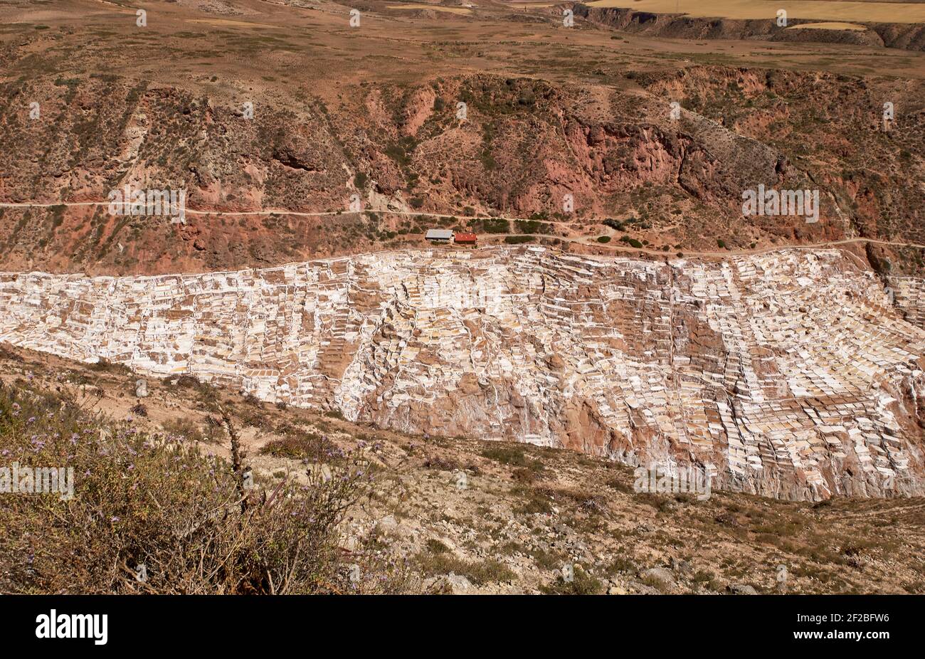 Inka-Salzpfannen von Maras, Salzterrassen und Kochsalzlösung von Pichingoto, Salineras de Maras, Heilige Tal der Inkas, Urubamba in der Nähe von Cusco, Peru Stockfoto