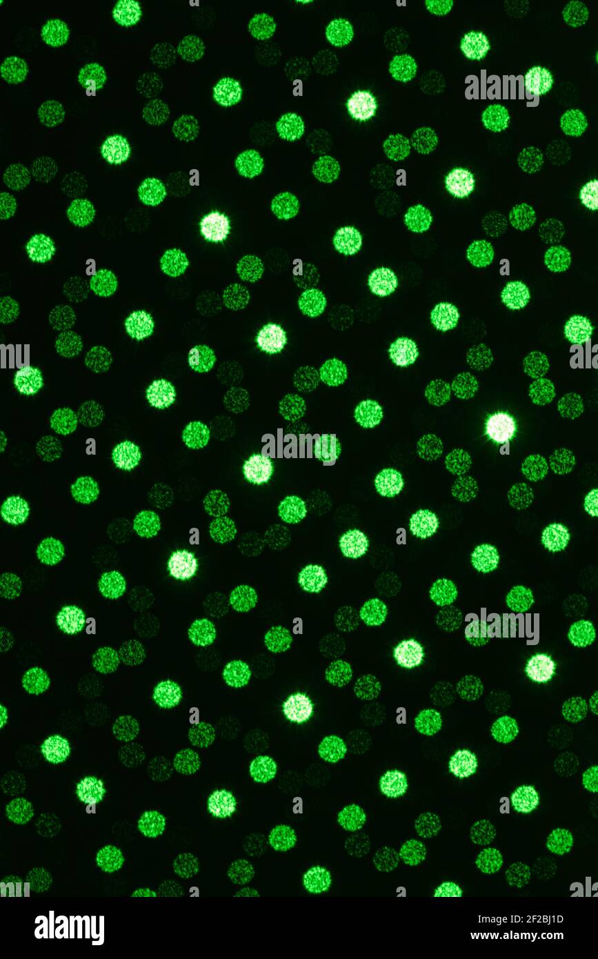 Abstrakter grüner digitaler Hintergrund mit hellem Pinsel. Stockfoto