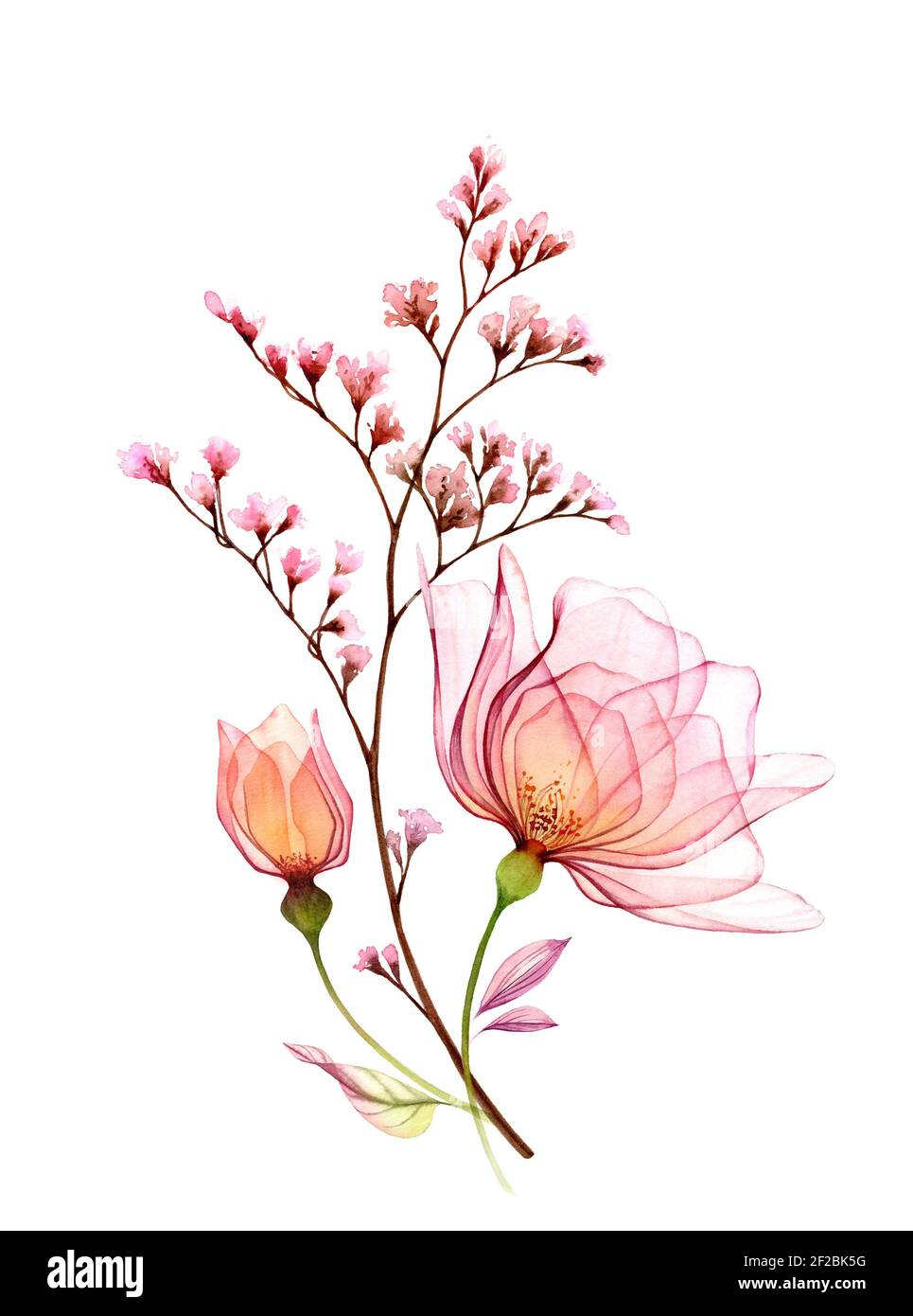 Aquarell Rosenstrauß. Große transparente rosa Blüten isoliert auf weiß. Handgemalte abstrakte Kunstwerke. Botanische Illustration für Karten, Hochzeit Stockfoto