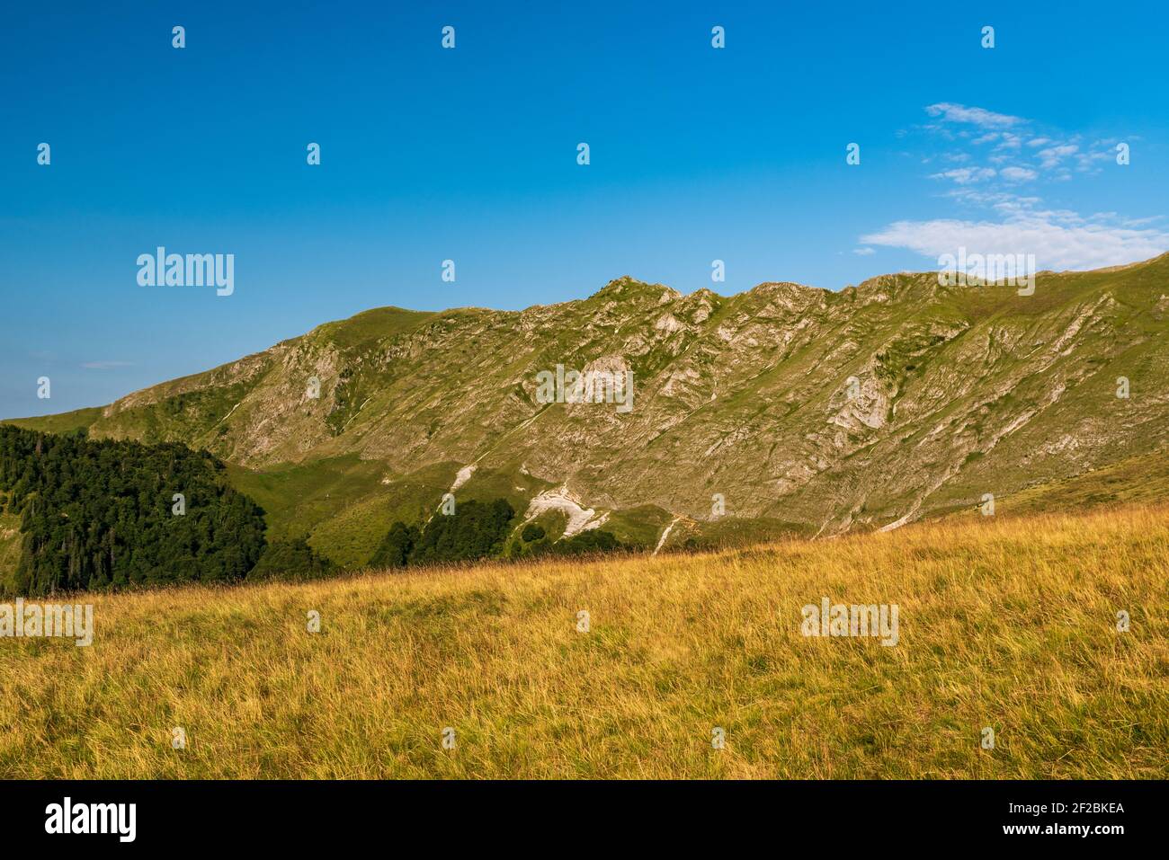 Steiler Bergrücken von Wiesen mit Kalksteinfelsen bedeckt - Ein Teil des Oslea Bergrückens in den Valcan Bergen in Rumänien Im Sommer morgens mit Stockfoto