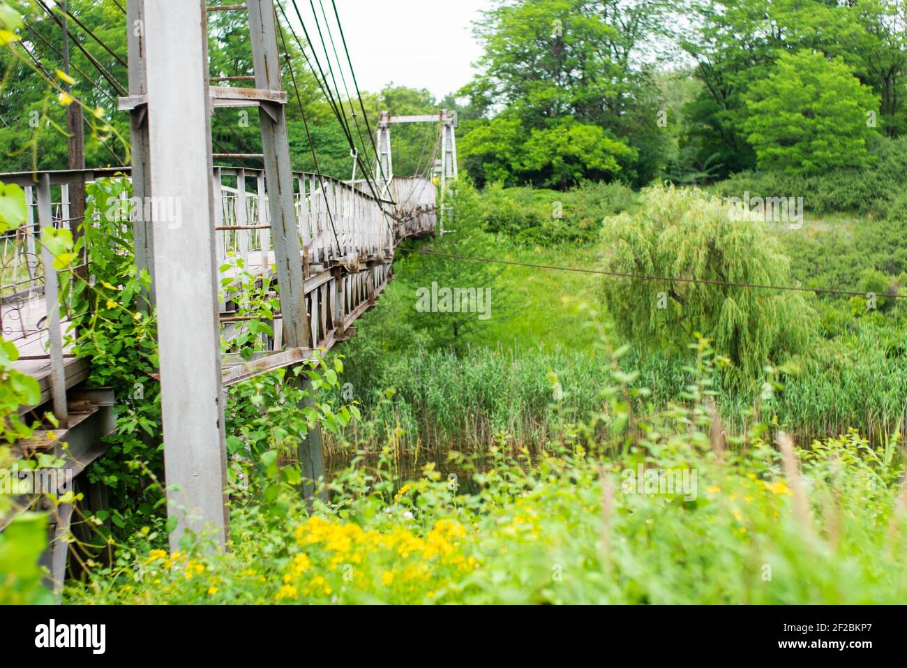 Alte eiserne Hängebrücke, die nicht funktioniert, über eine getrocknete Flussseite. Helles Foto und saftiges Grün. Ein Fluss überwuchert. Stockfoto