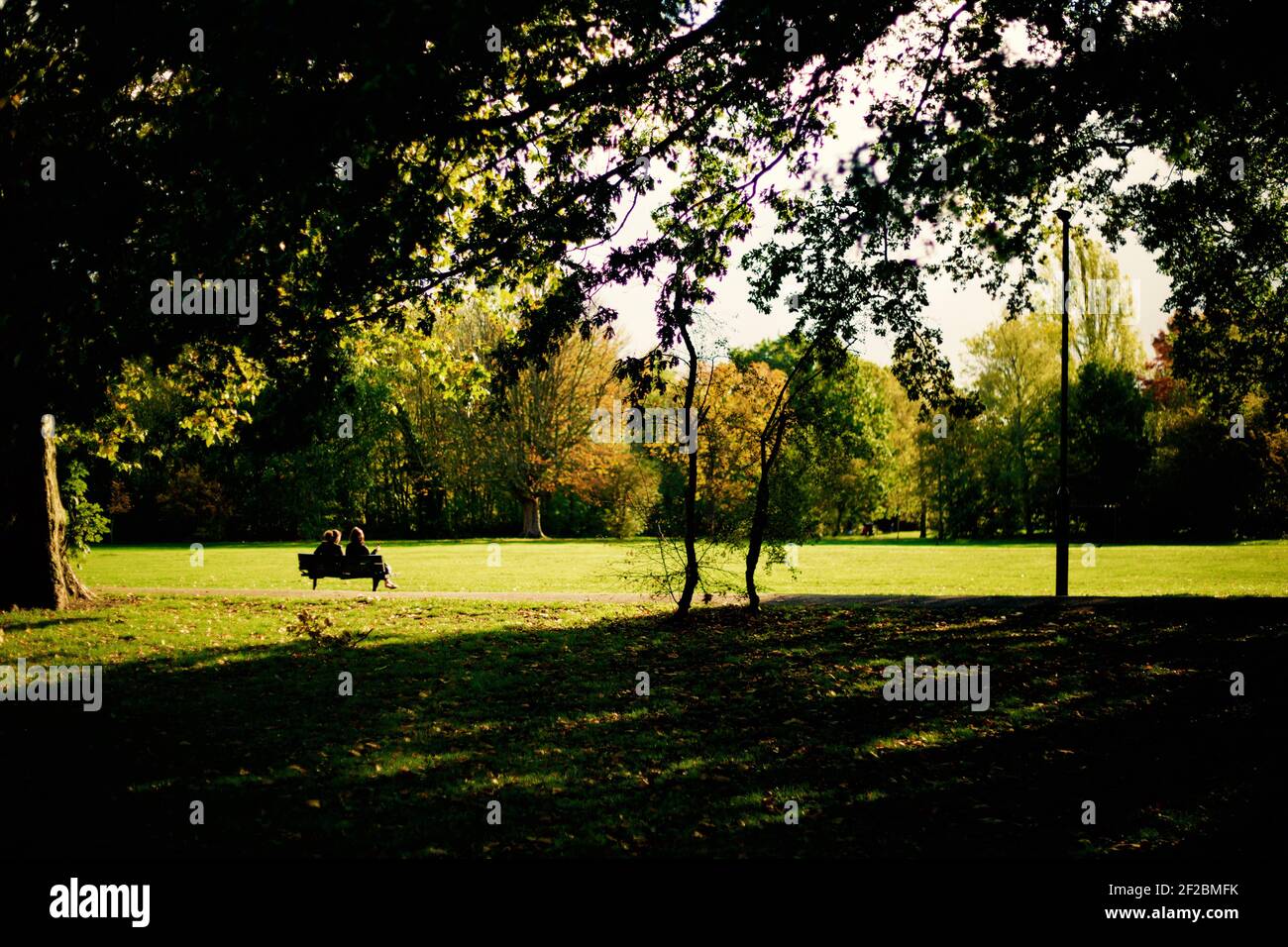 Freunde sitzen während der Covid-19-Sperre im Wandsworth Common, London, auf der Bank Stockfoto