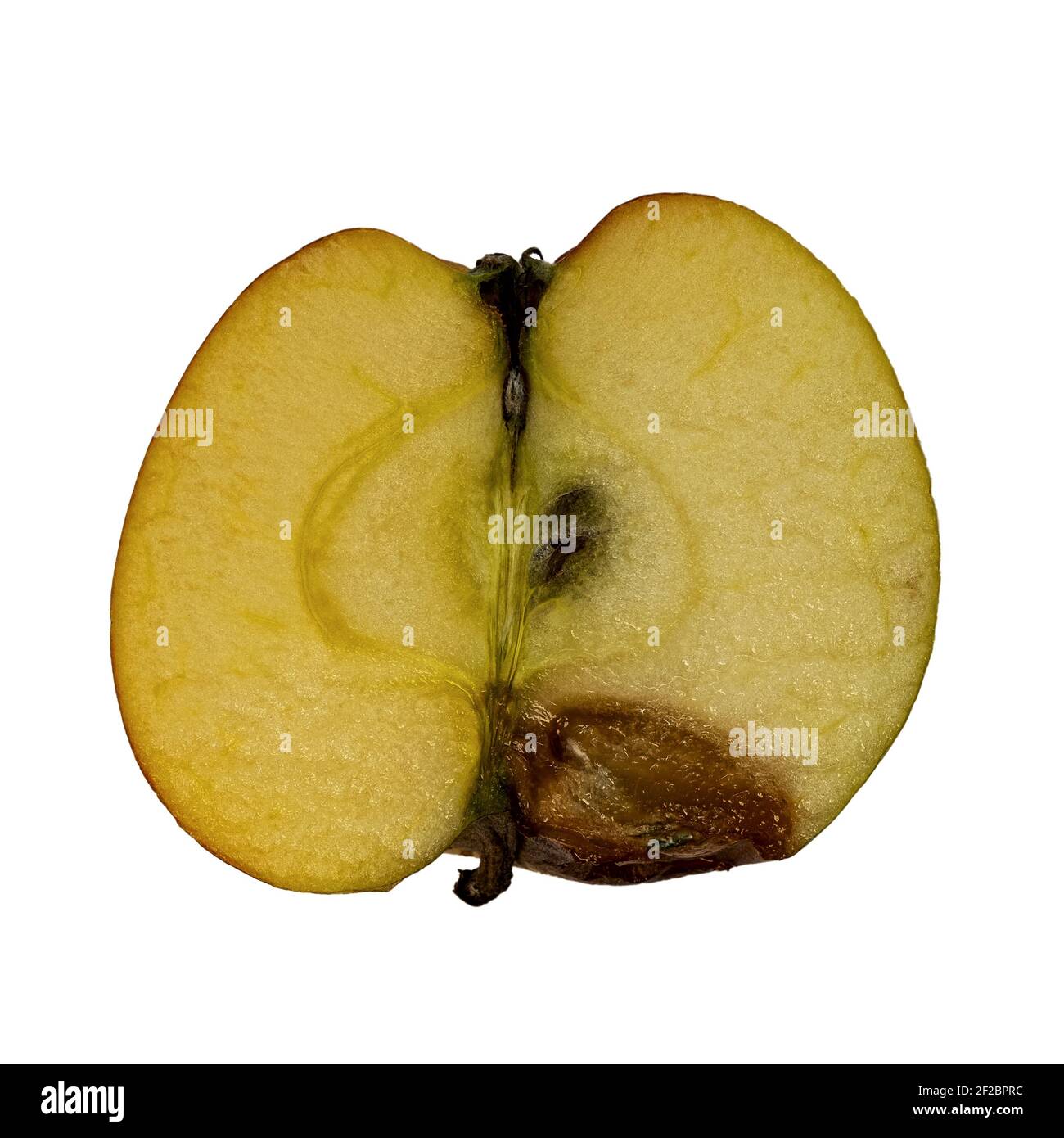 Halbierter, fauler Apfel isoliert auf Weiß Stockfoto