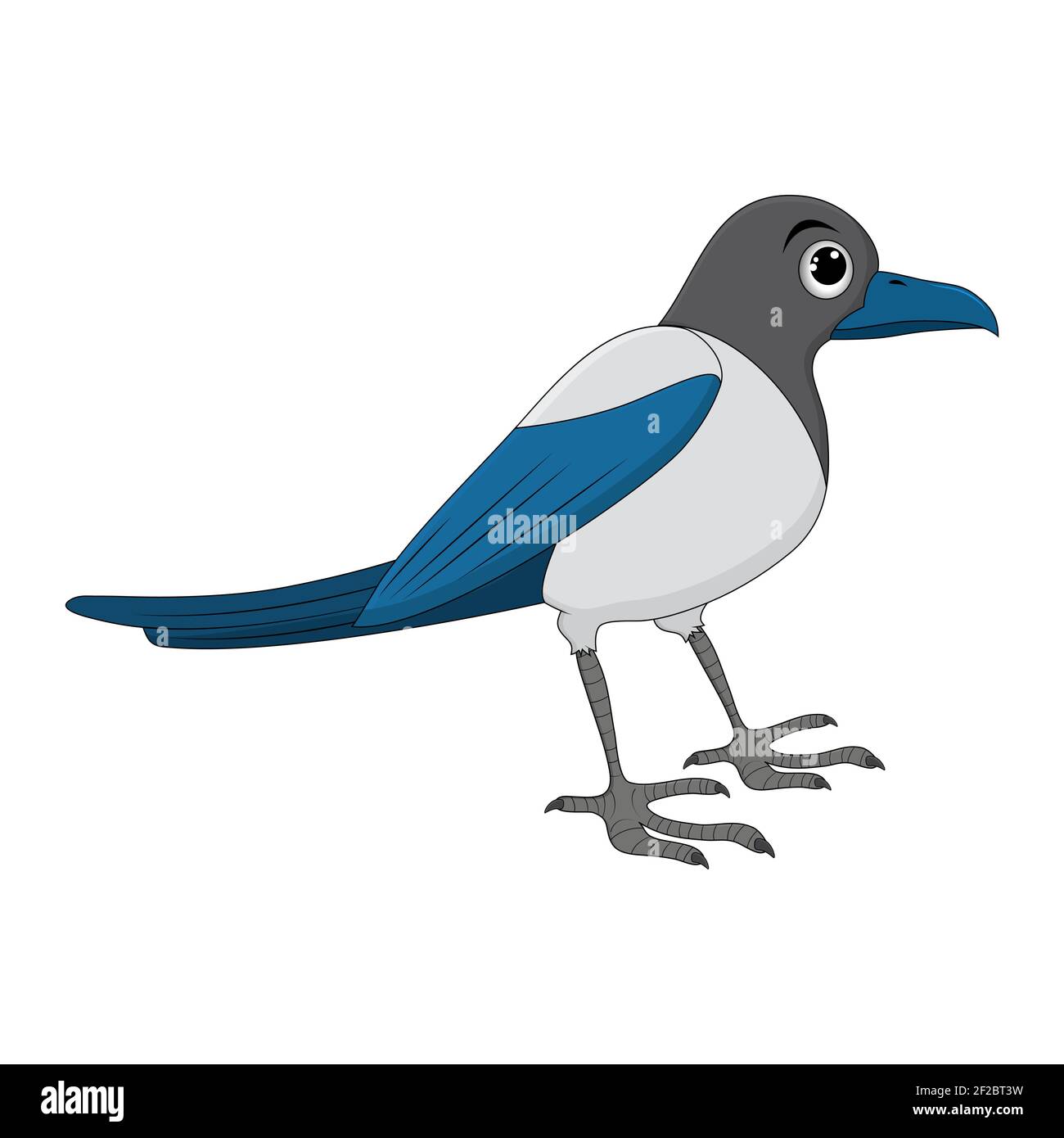 Elster Vogel Cartoon Illustration Stehende Krahe Tier Ornithologie Design Vektor Clip Art Auf Weissem Hintergrund Isoliert Stock Vektorgrafik Alamy