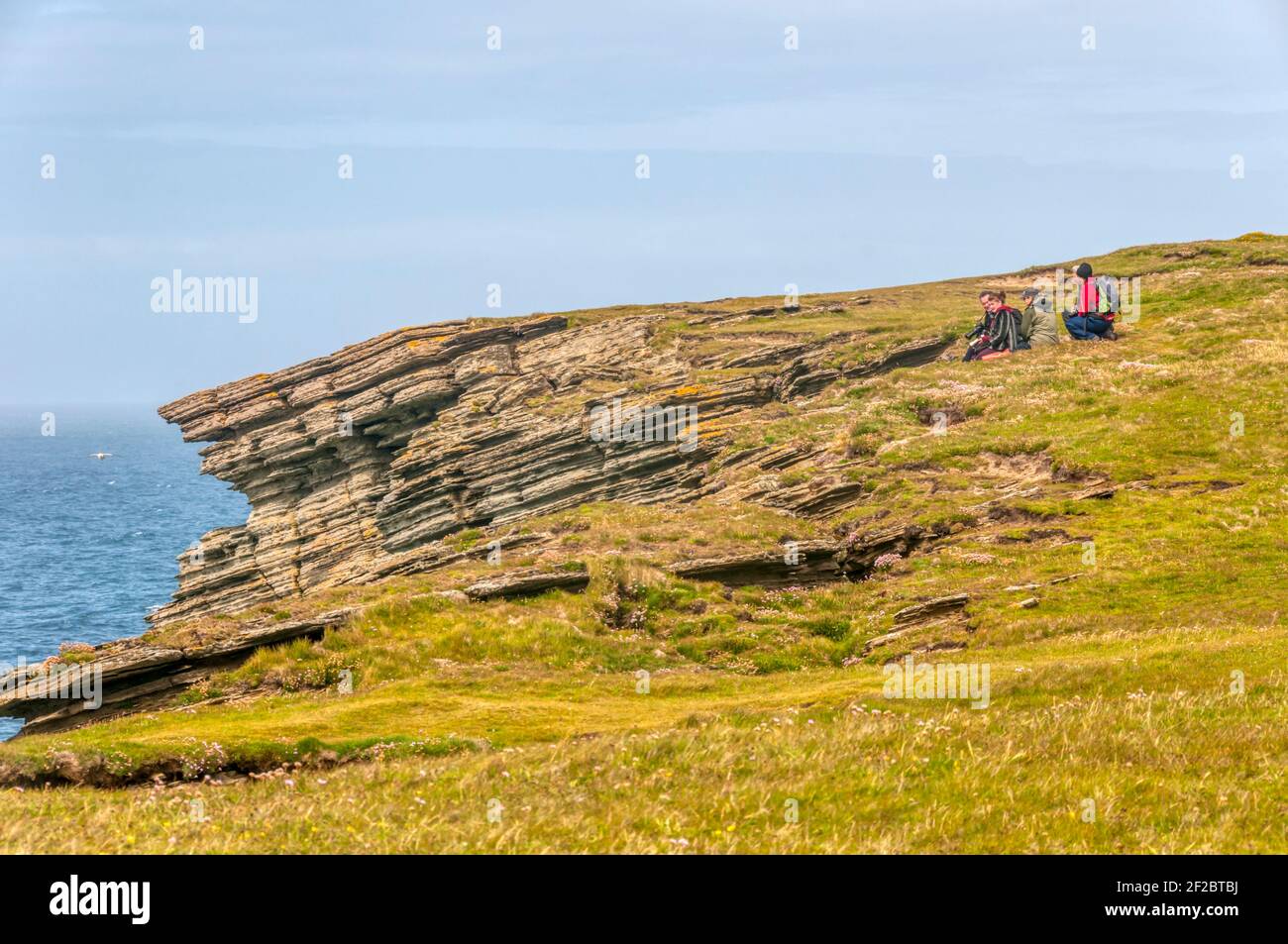 Vogelbeobachter sitzen auf den Klippen am Brough of Birsay, Orkney. Stockfoto