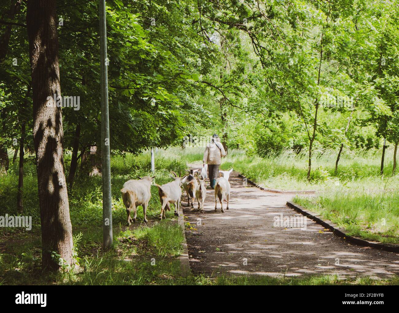 1080739 Stockfoto