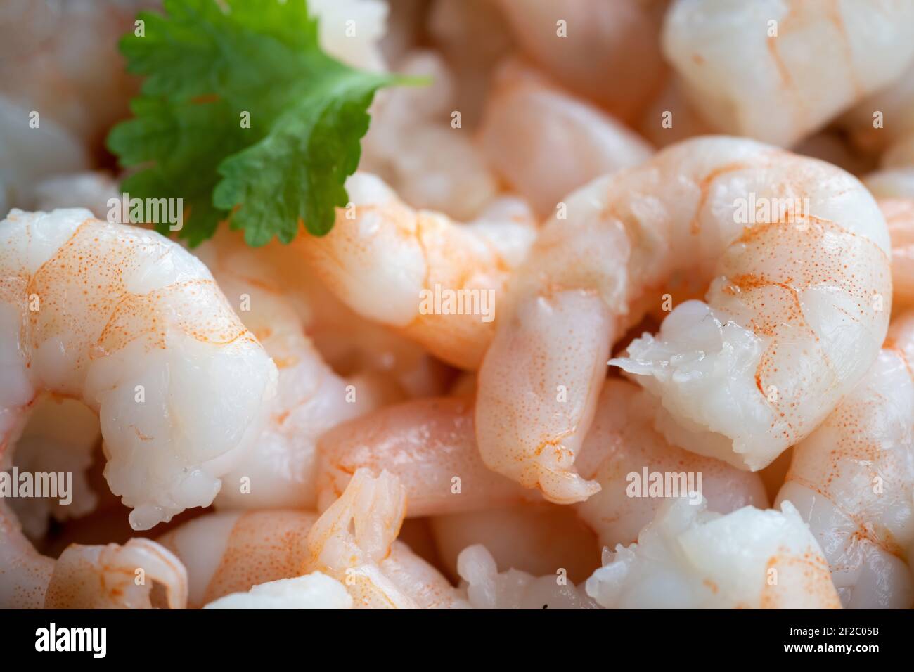 Tapas Stock Fotografie Stockfoto