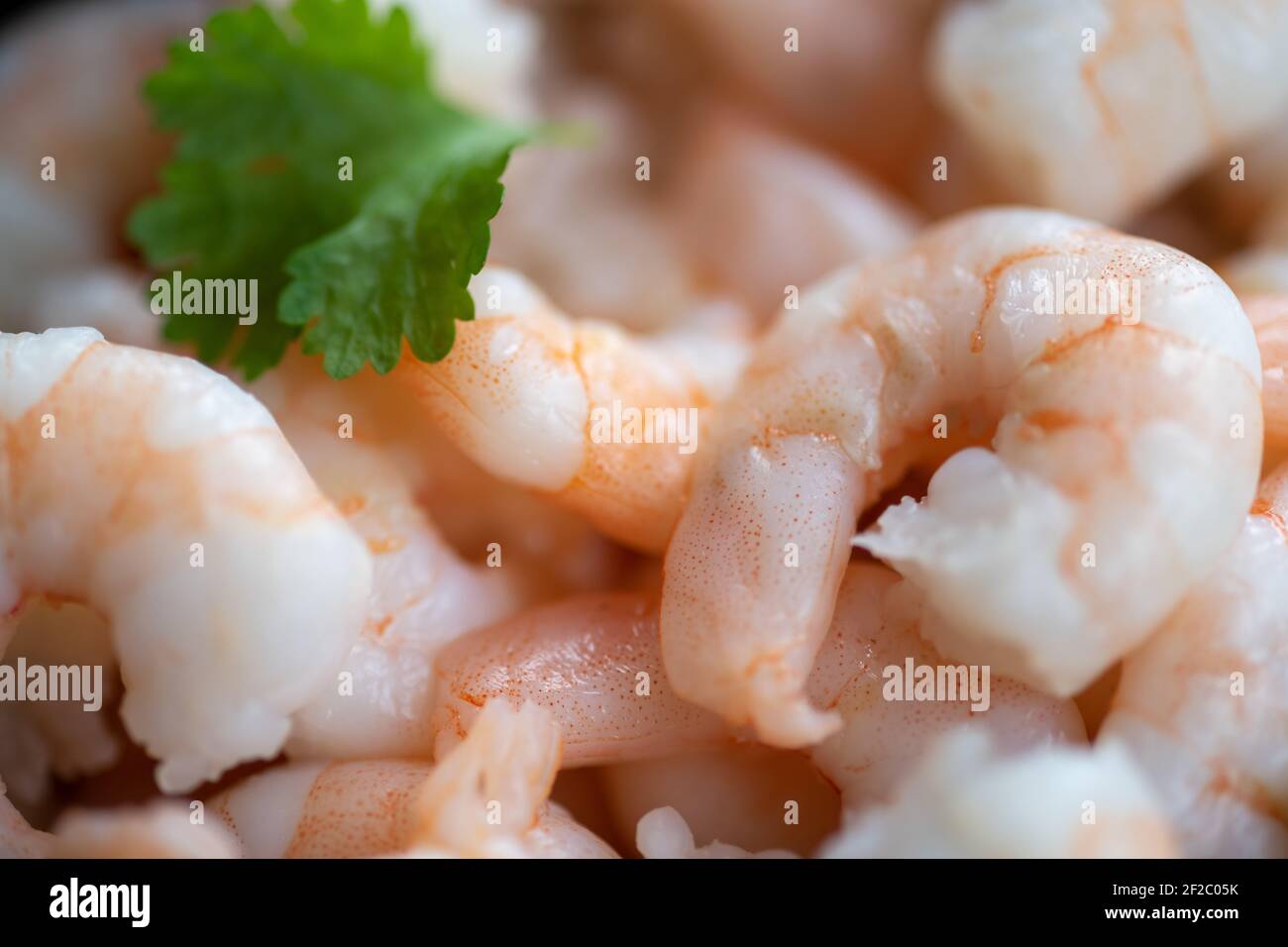 Tapas Stock Fotografie Stockfoto