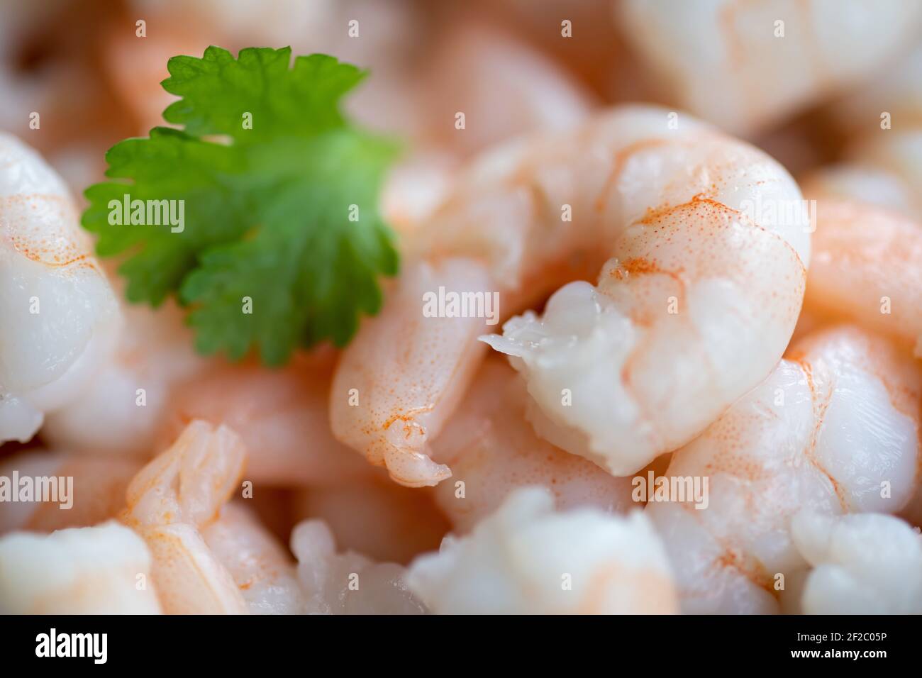 Tapas Stock Fotografie Stockfoto