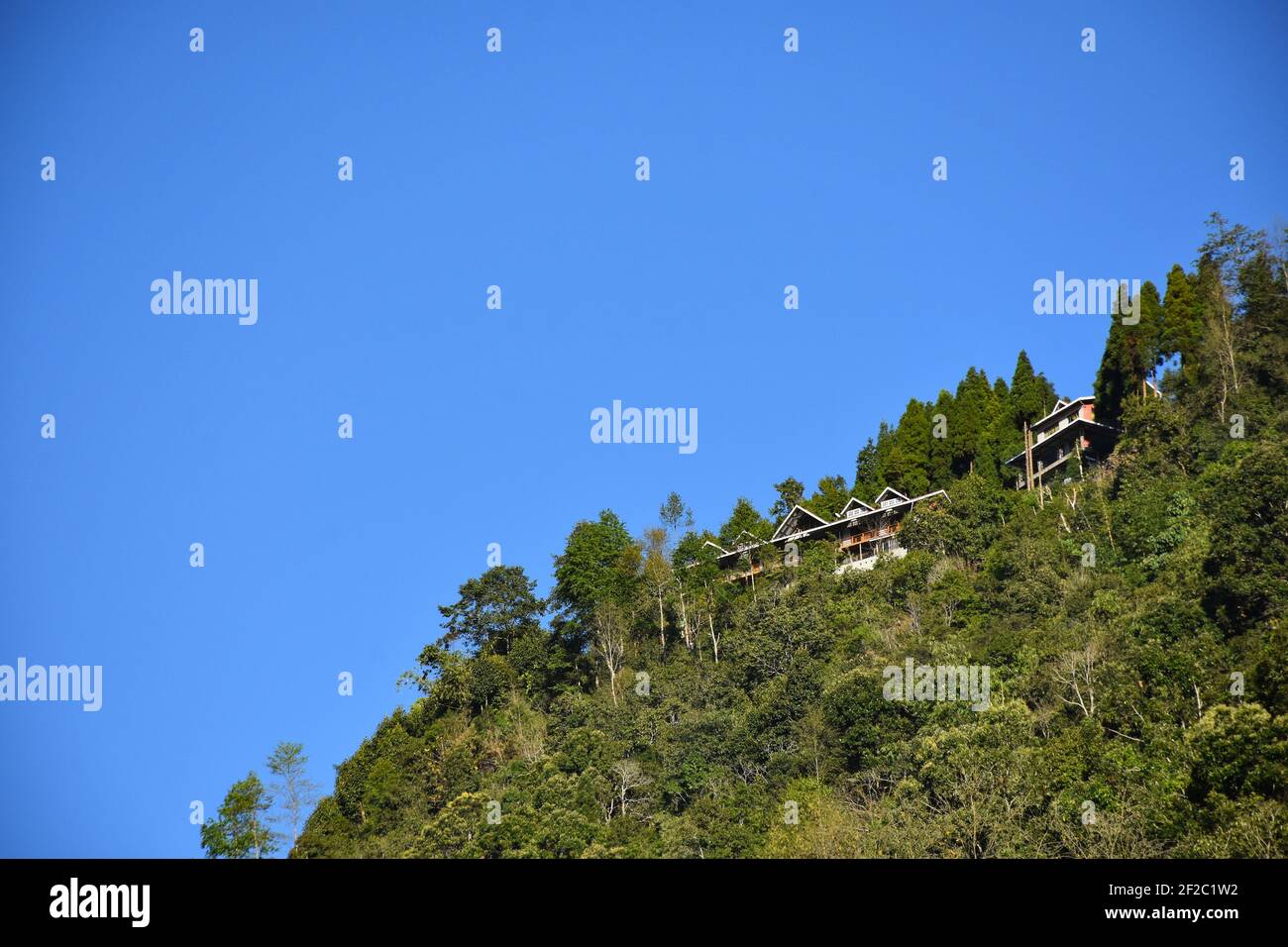 Sloppy Mountain mit Blue Sky und Virgin Forest. Ein Aufenthalt zu Hause Stockfoto
