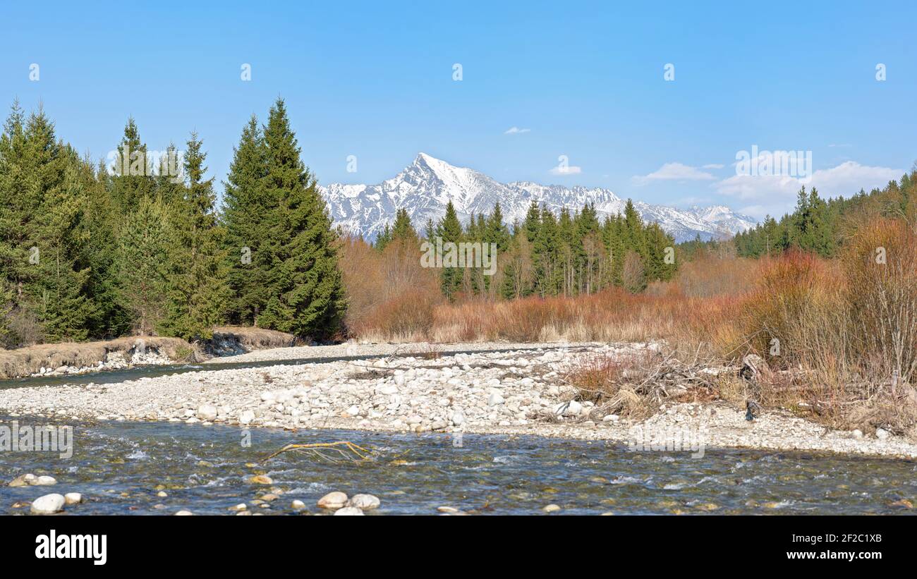 Waldfluss Bela mit kleinen runden Steinen und Nadelbäumen und braunen Büschen auf beiden Seiten, sonniger Tag, Krivan Gipfel - slowakisches Symbol - in der Ferne Stockfoto