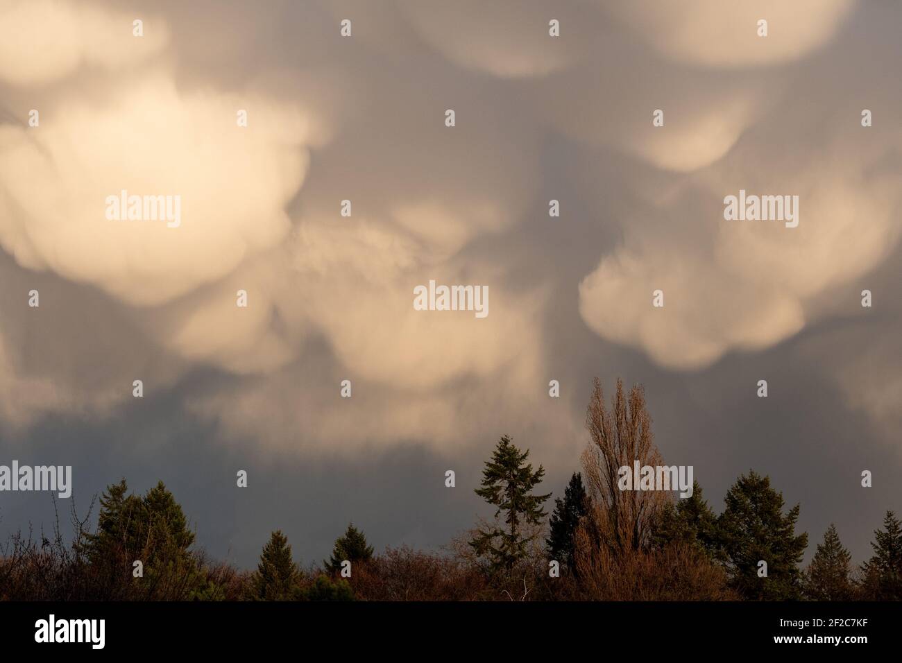 Mammatuswolken cumulonibus Wolken Berlin 03,2021 Stockfoto