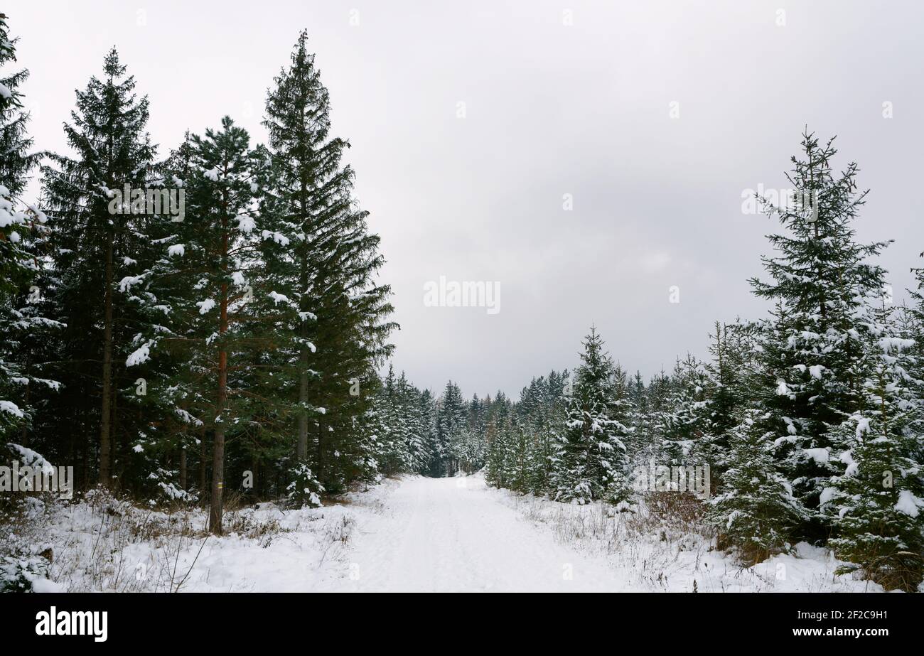 Landschaftlich schöner Blick auf eine Winterlandschaft Stockfoto