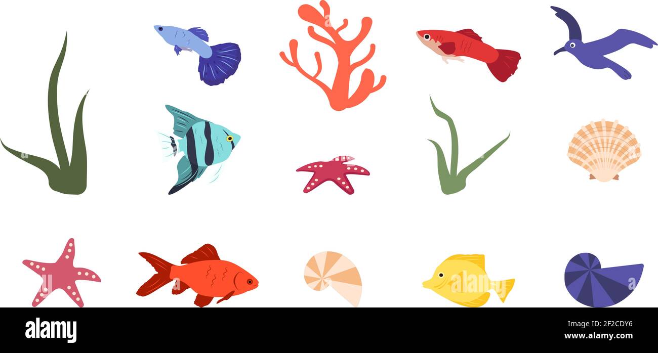 Set von hellen Ikonen von Fischen, Korallen, Muscheln und Meereselementen Stock Vektor