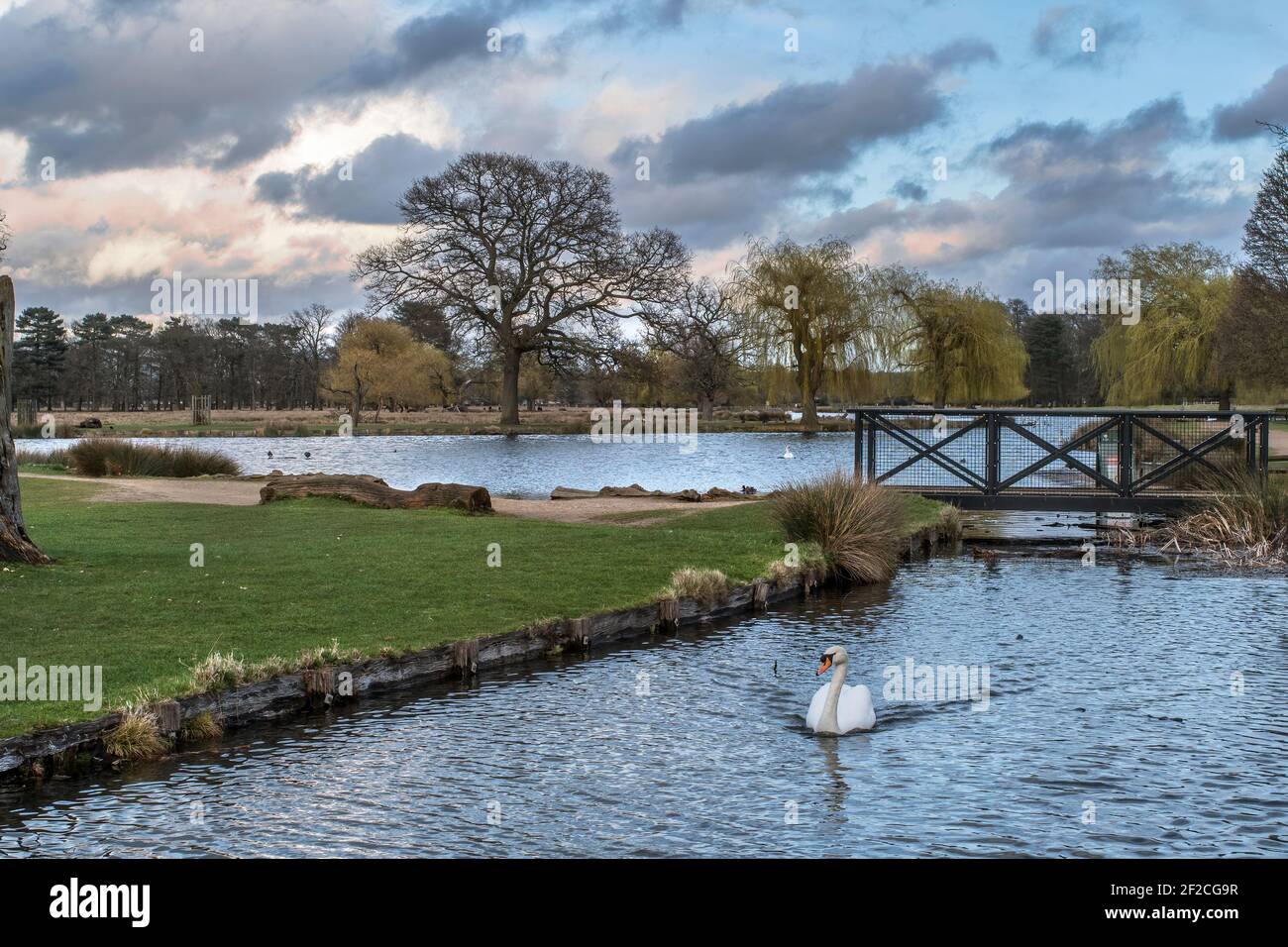 Regenwolken sammeln sich kurz vor Sonnenuntergang im März bei Bushy Park, wenn ich auf öffentlichem oder privatem Grundstück bin Bereit, die volle Verantwortung für eine zu übernehmen Stockfoto