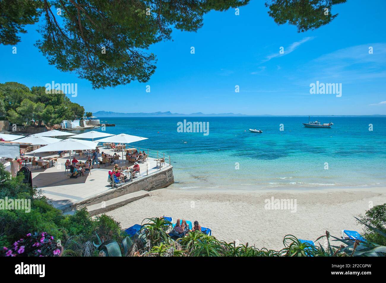 Alcanada Strand mit Restaurant, Alcudia, Mallorca, Balearen, Spanien Stockfoto