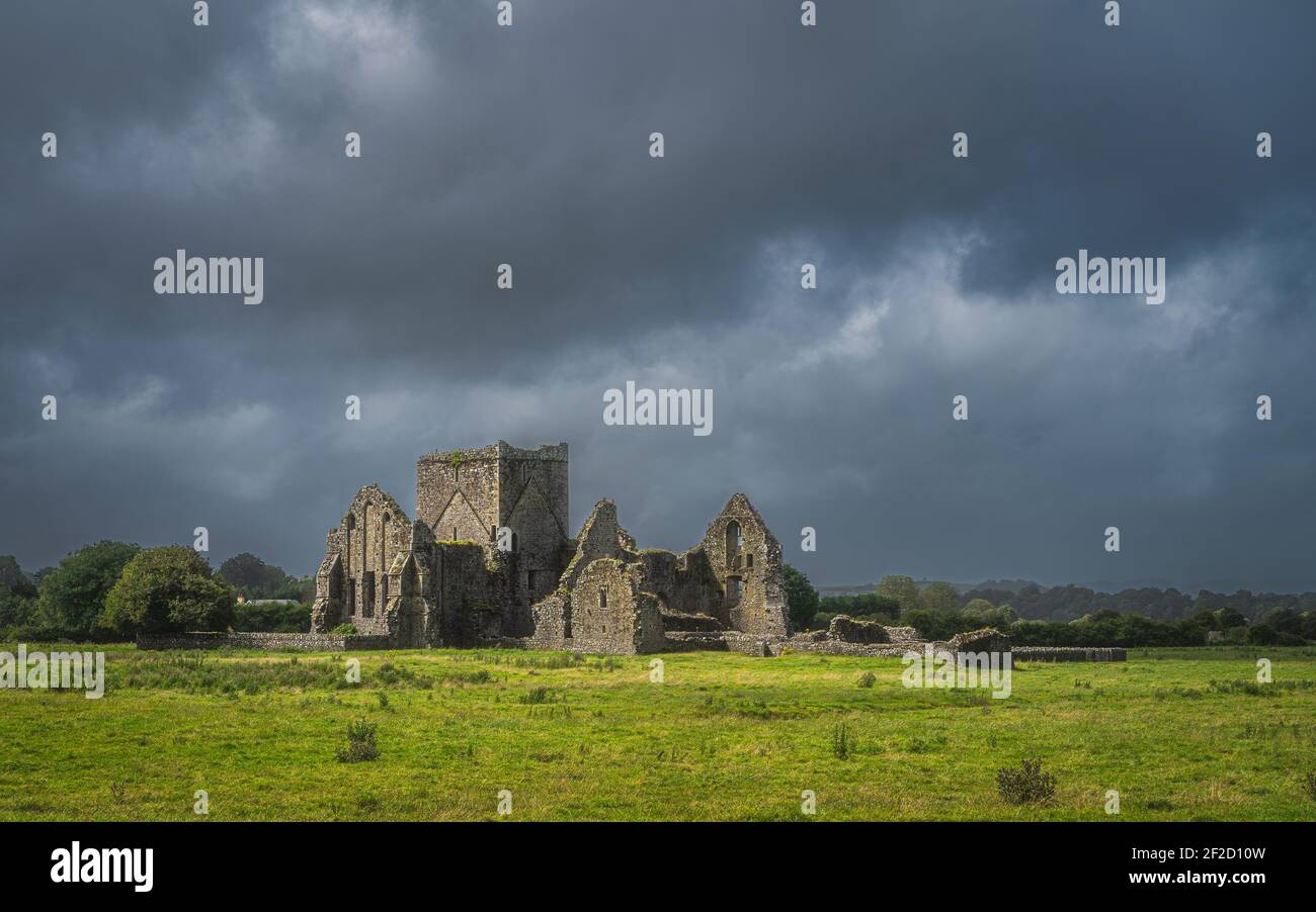 Alte Ruinen von Hore Abbey, beleuchtet von Sonnenlicht mit dunklem, dramatischem Sturmhimmel. Das Hotel liegt neben dem Schloss Rock of Cashel, County Tipperary, Irland Stockfoto