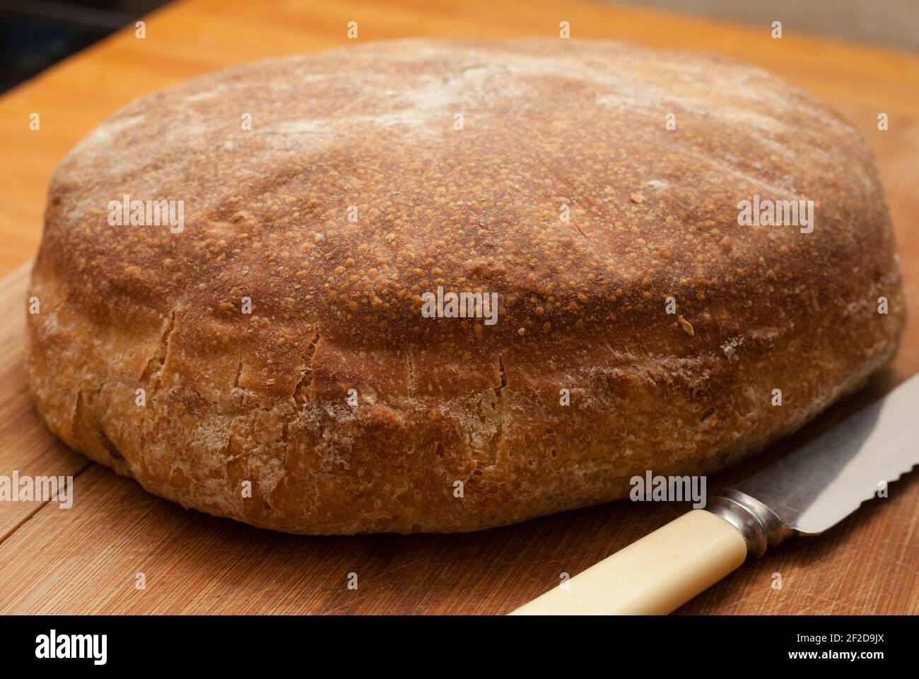 Erster Versuch zu Hause gemacht Sauerteig Laib Stockfoto