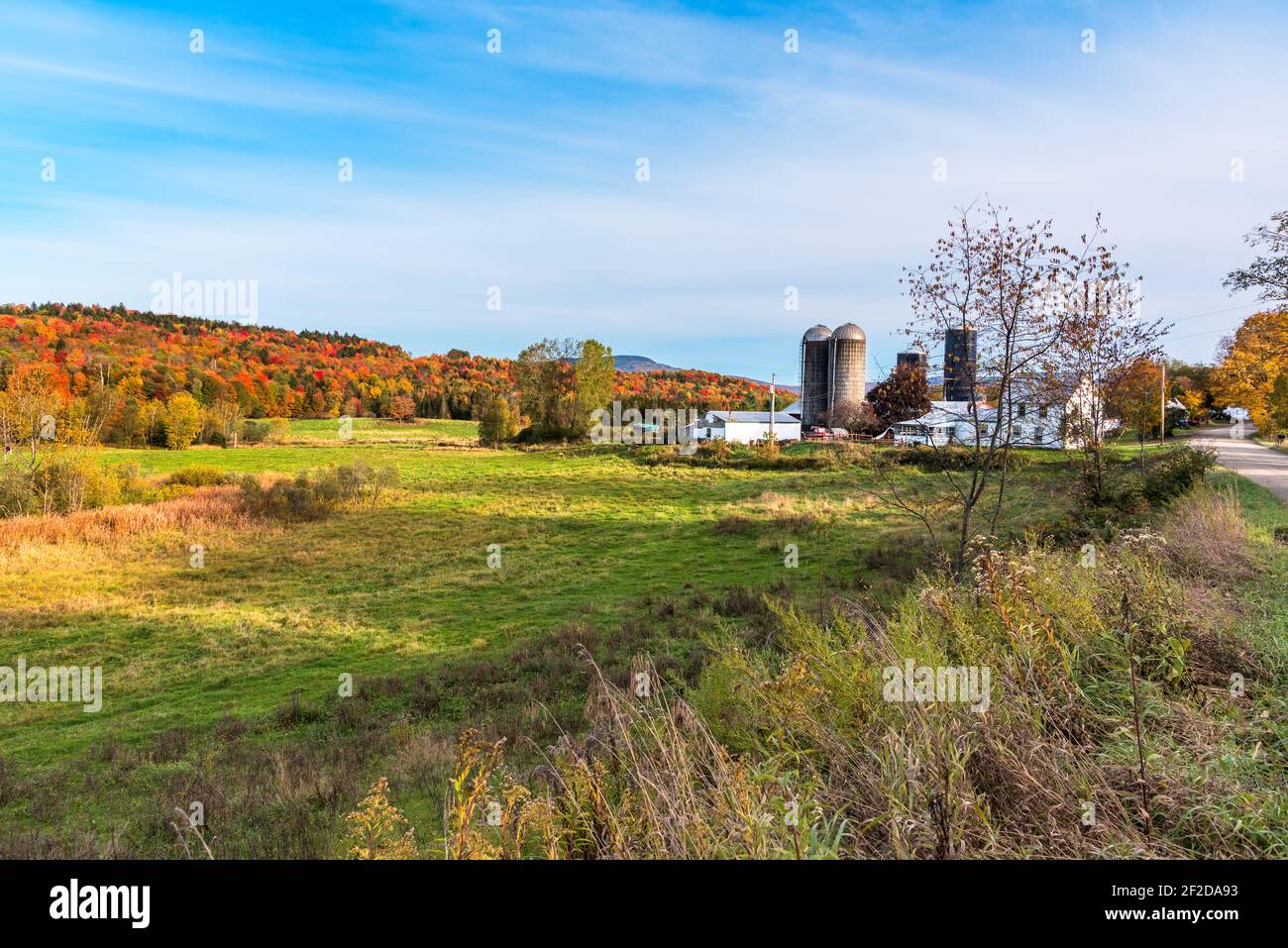 Ländliche Landschaft in Vermont mit landwirtschaftlichen Gebäuden entlang einer unbefestigten Straße an einem sonnigen Herbsttag. Atemberaubende Herbstfarben im Hintergrund. Stockfoto