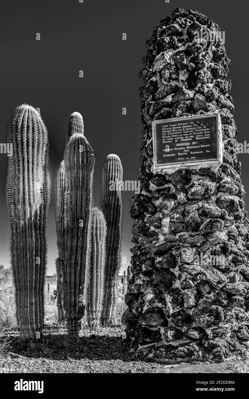 Eine historische Markierung auf einer Felssäule, informiert über die Schlacht am Picacho Pass im Bürgerkrieg, umgeben von saguaro Kakteen im Peak State Park, AZ Stockfoto