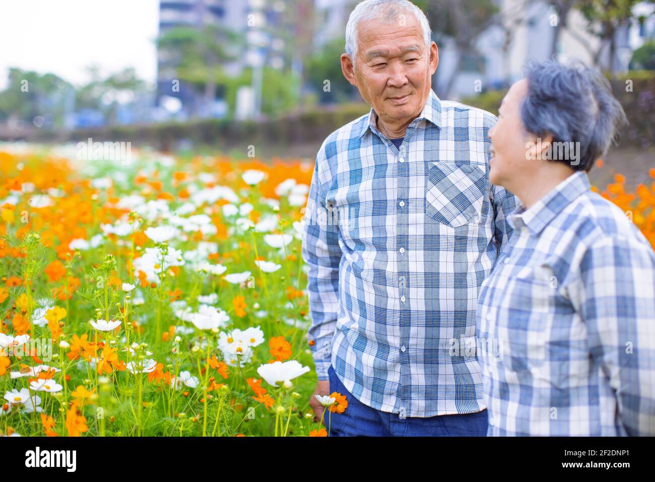 Glückliches asiatisches Seniorenpaar, das im Garten in der Stadt spazierengeht parken Stockfoto