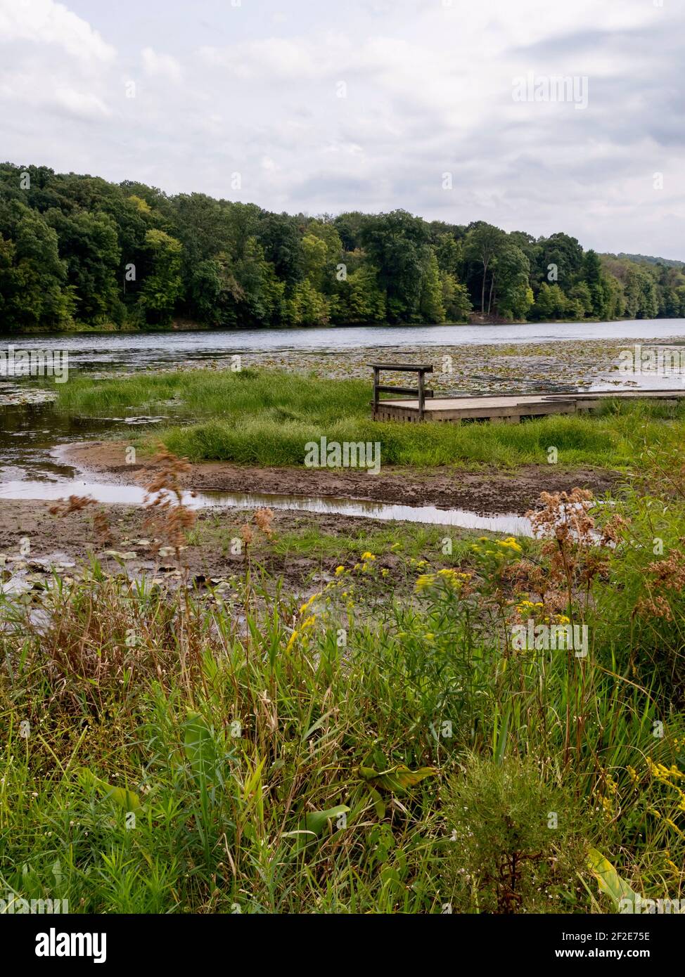 Lake Justice im Two Mile Run County Park in Pennsylvania im Sommer mit Blick auf das Wasser, Sumpfland, See, Bäume, Himmel und Wolken, Perfekt, b Stockfoto