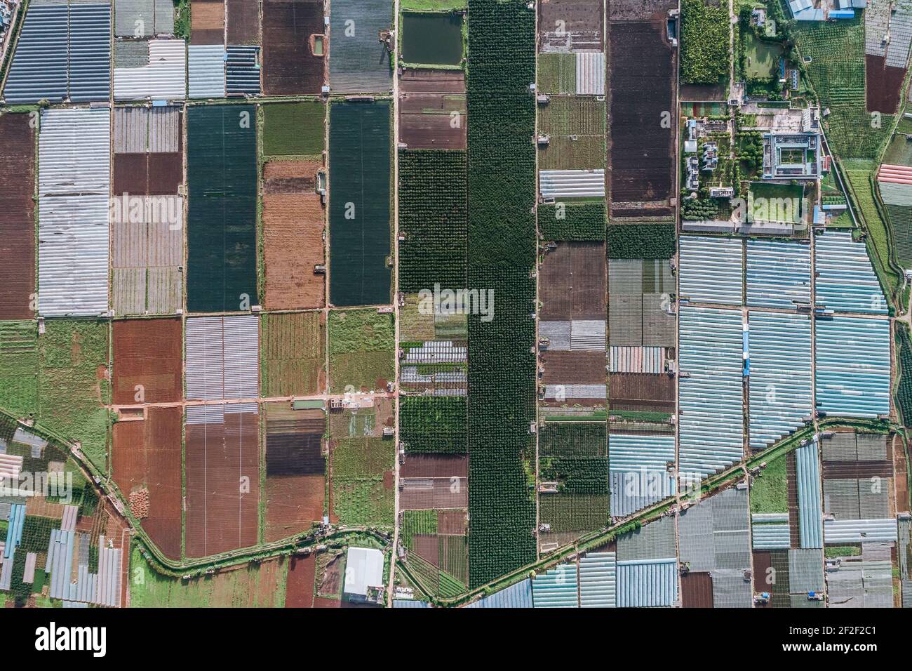 Luftaufnahme von landwirtschaftlichen Grundstücken unter Anbau in einer landwirtschaftlichen Stadt. Mengzi, Provinz Yunnan, China Stockfoto